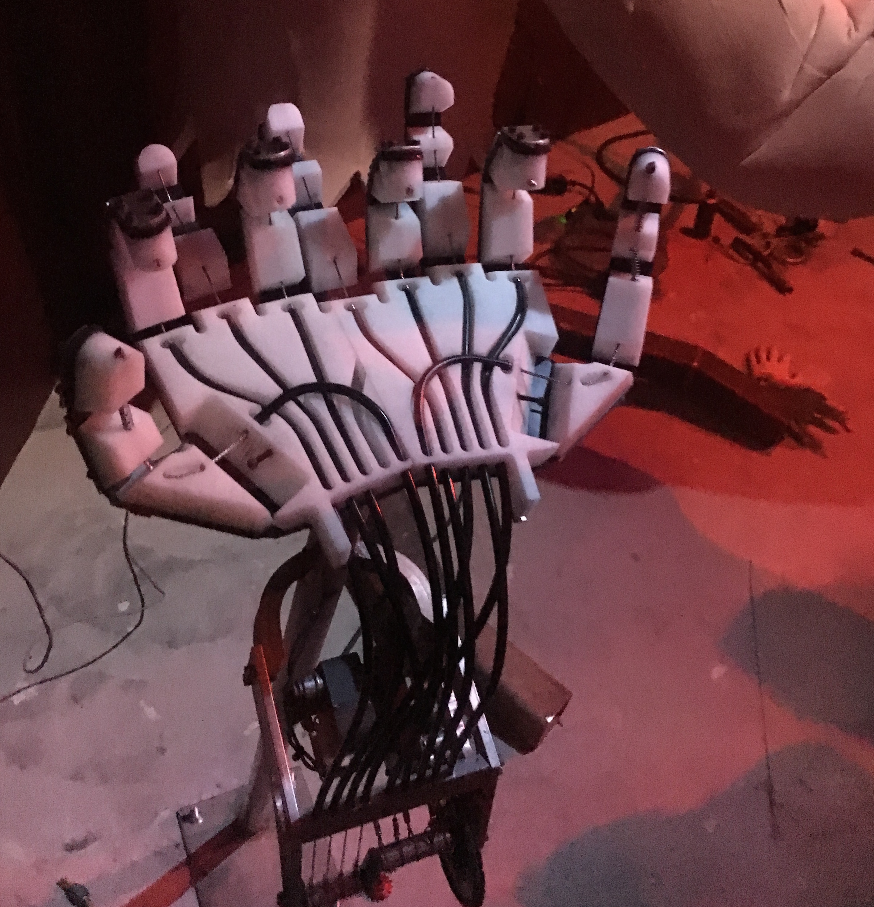meow wolf hand