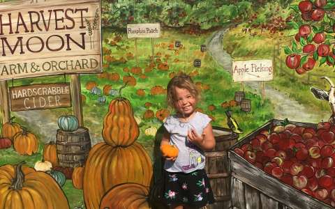 harvest moon apple picking pumpkins