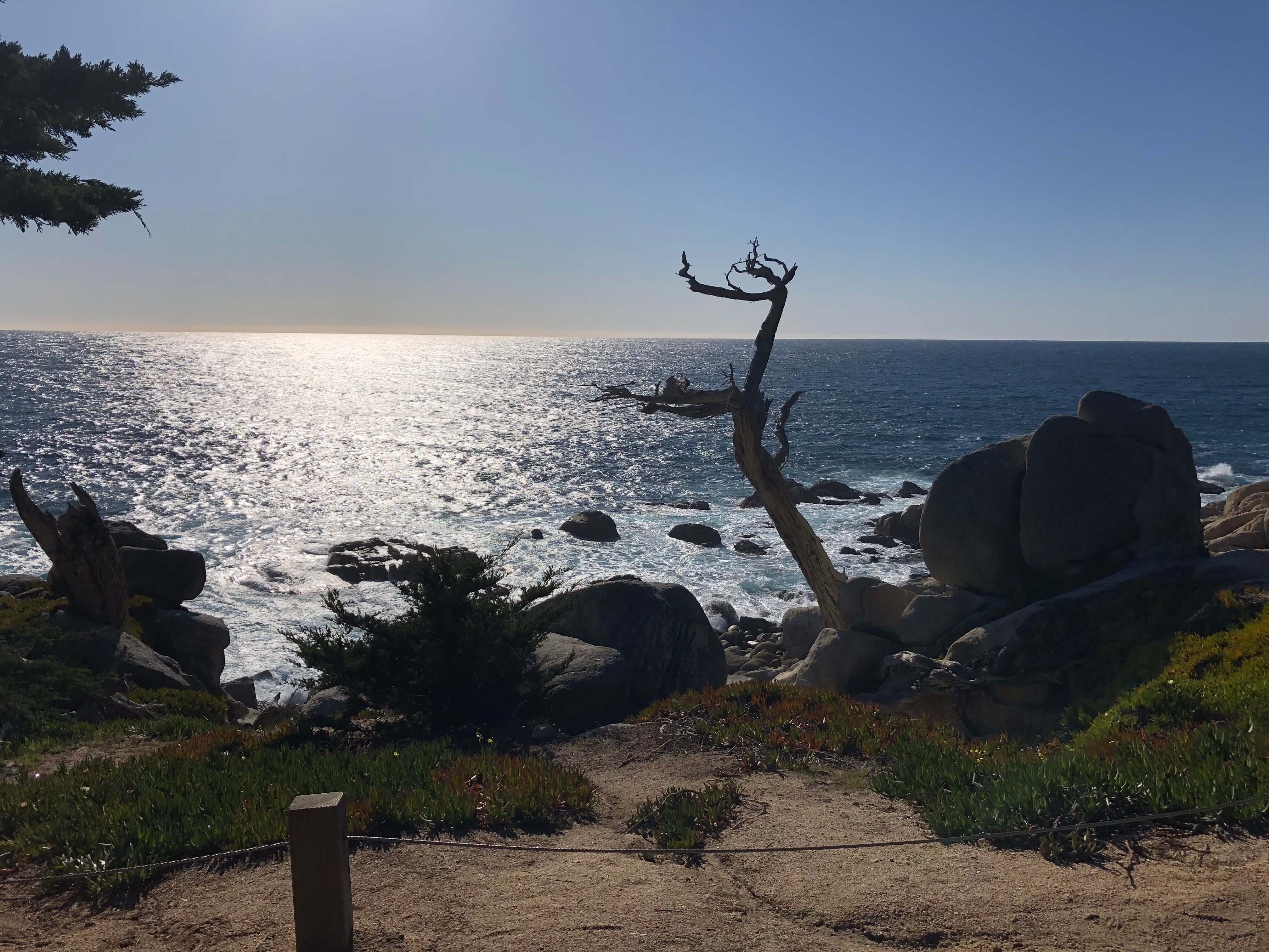 17-Mile Drive carmel-by-the-sea