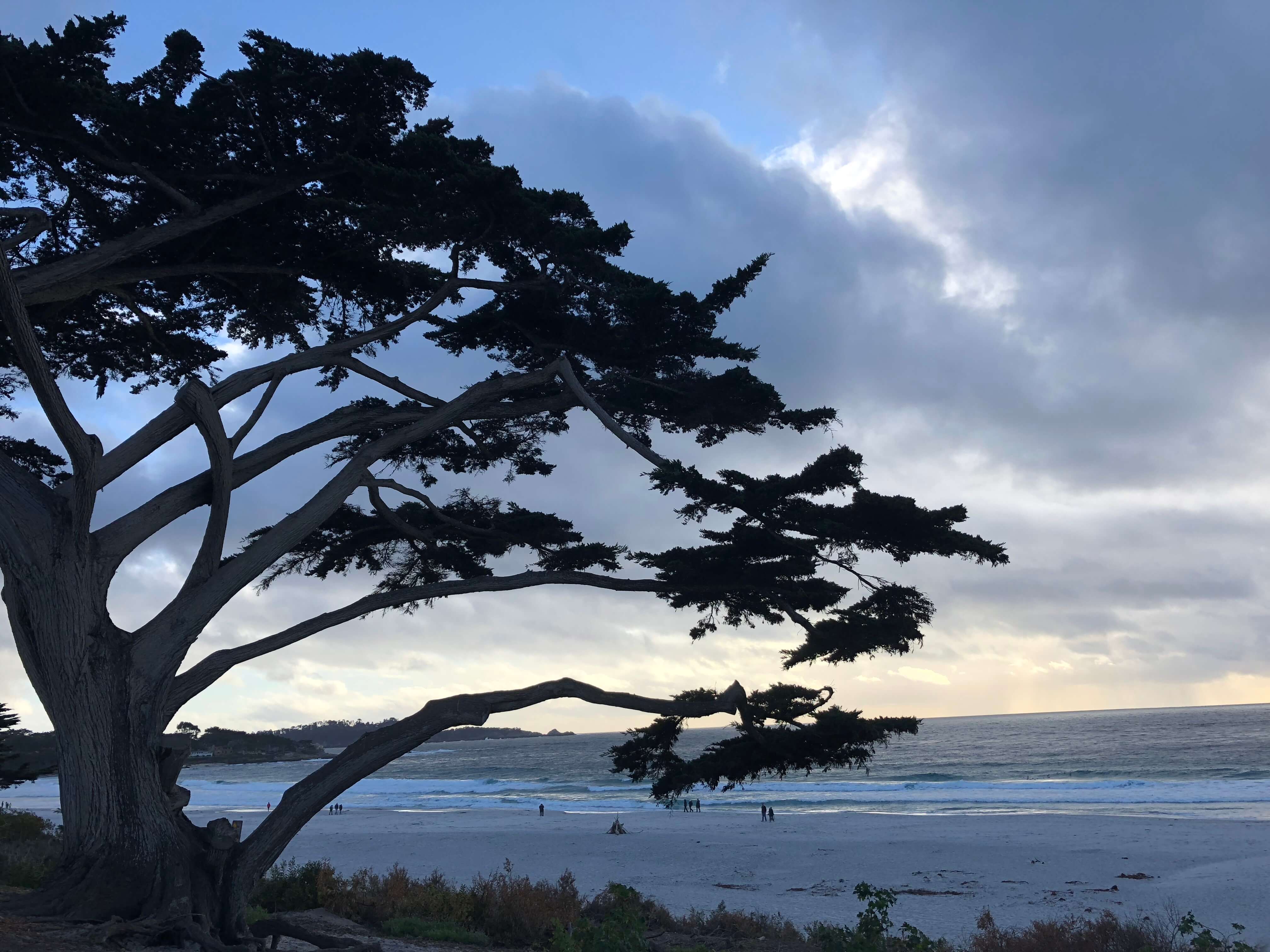 carmel-by-the-sea beach
