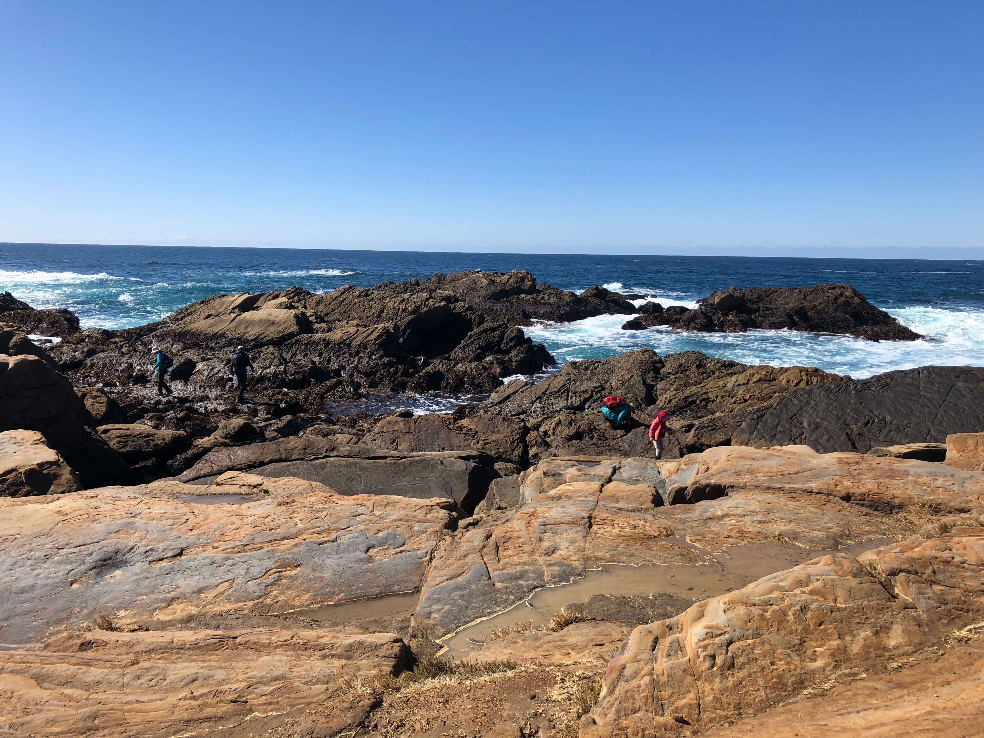 carmel-by-the-sea point lobos state reserve rocks