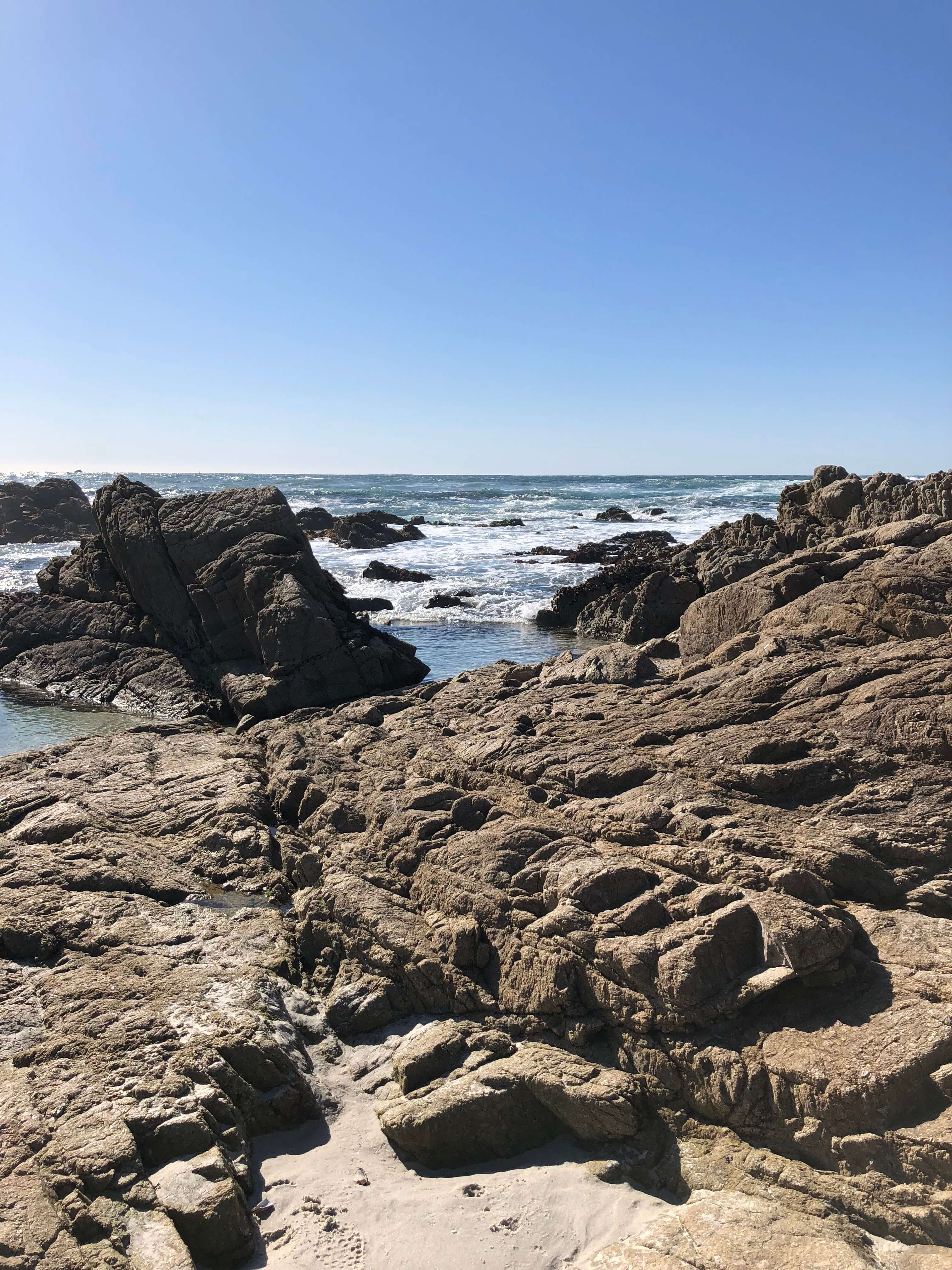carmel-by-the-sea point lobos state reserve