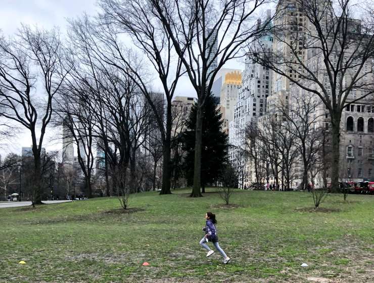 Free Rising New York Road Runners Classes