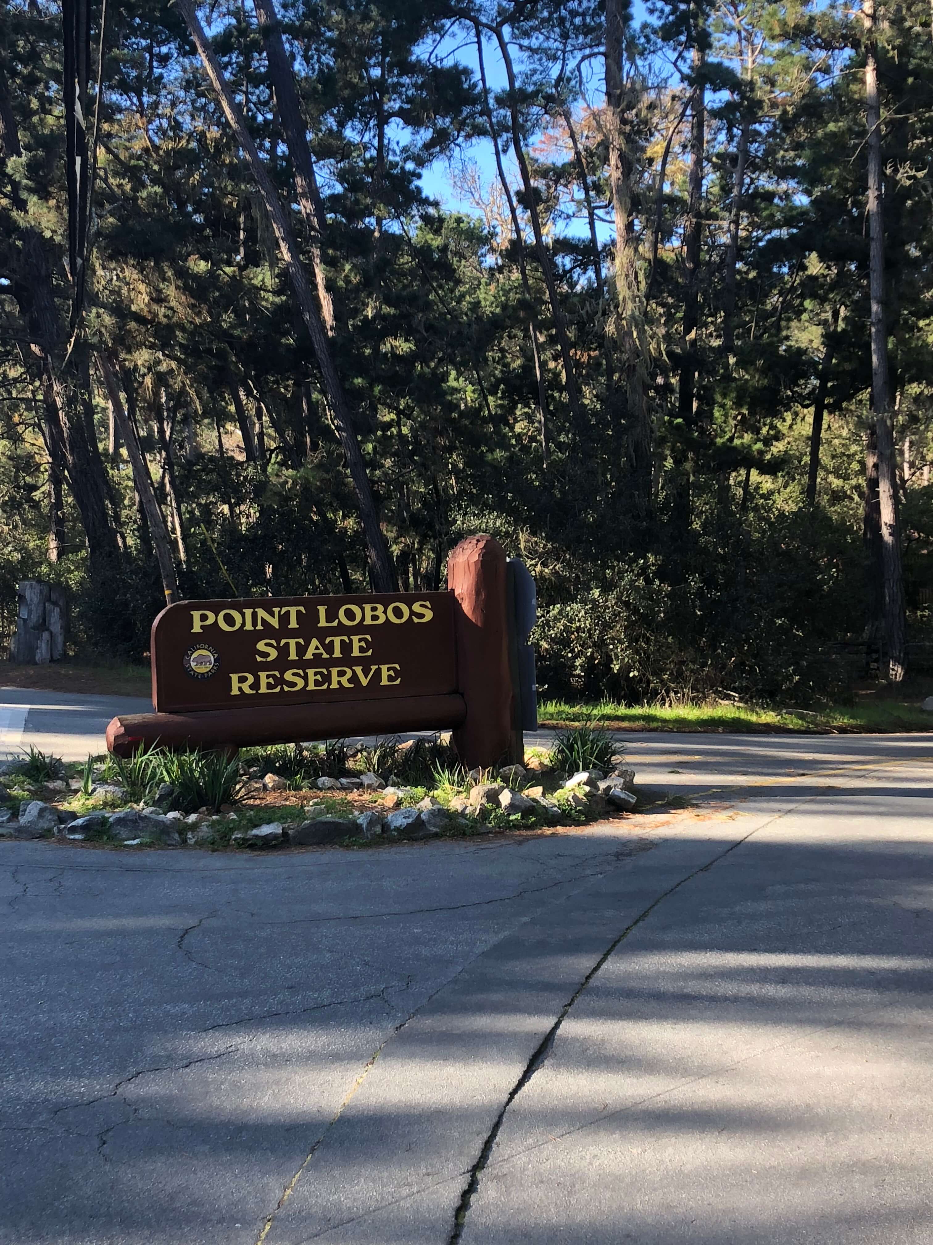 carmel-by-the-sea point lobos state reserve