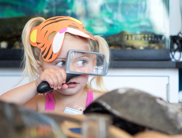 Brooklyn Bridge Park Conservancy Celebrates Third Anniversary of Environmental Education Center