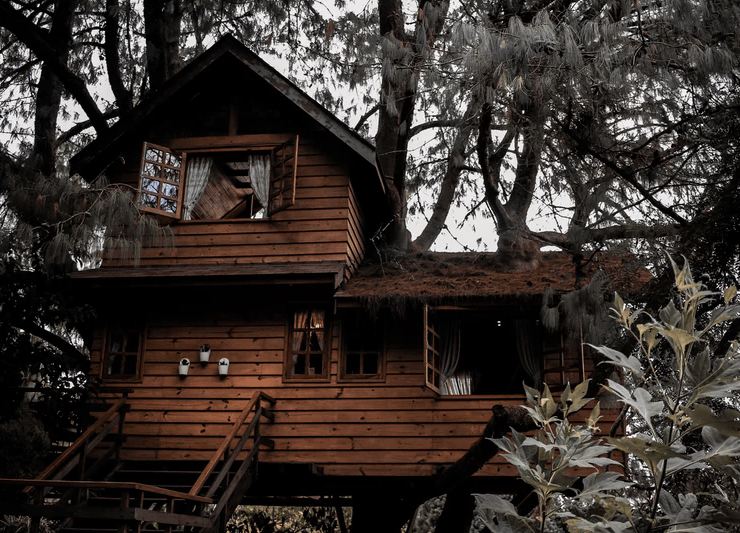 Float to the Clouds with these Amazing 10 Treehouse Hotels 