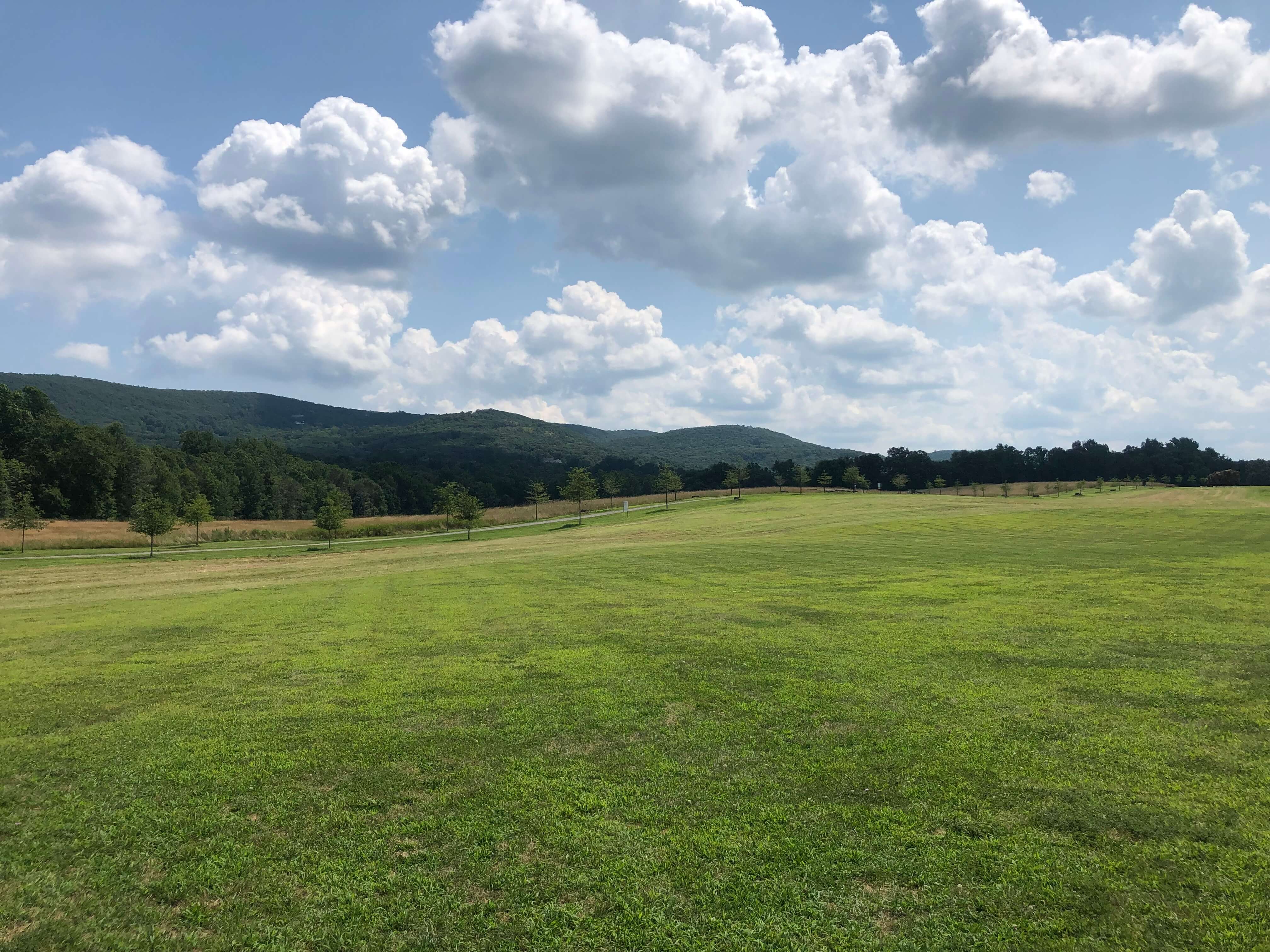storm king art center family