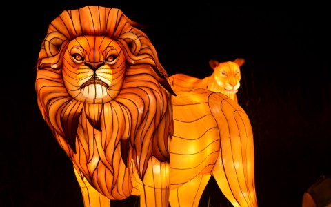 Bronx Zoo Holiday Lights includes: