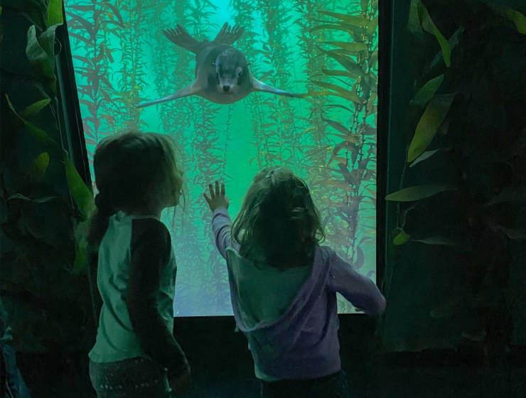 National Geographic Encounter: Ocean Odyssey for Kids