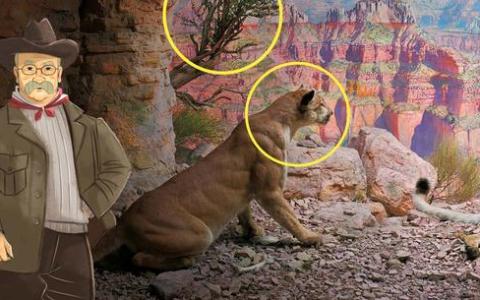 AMNH Launches New Virtual Field Trips for Online Learning