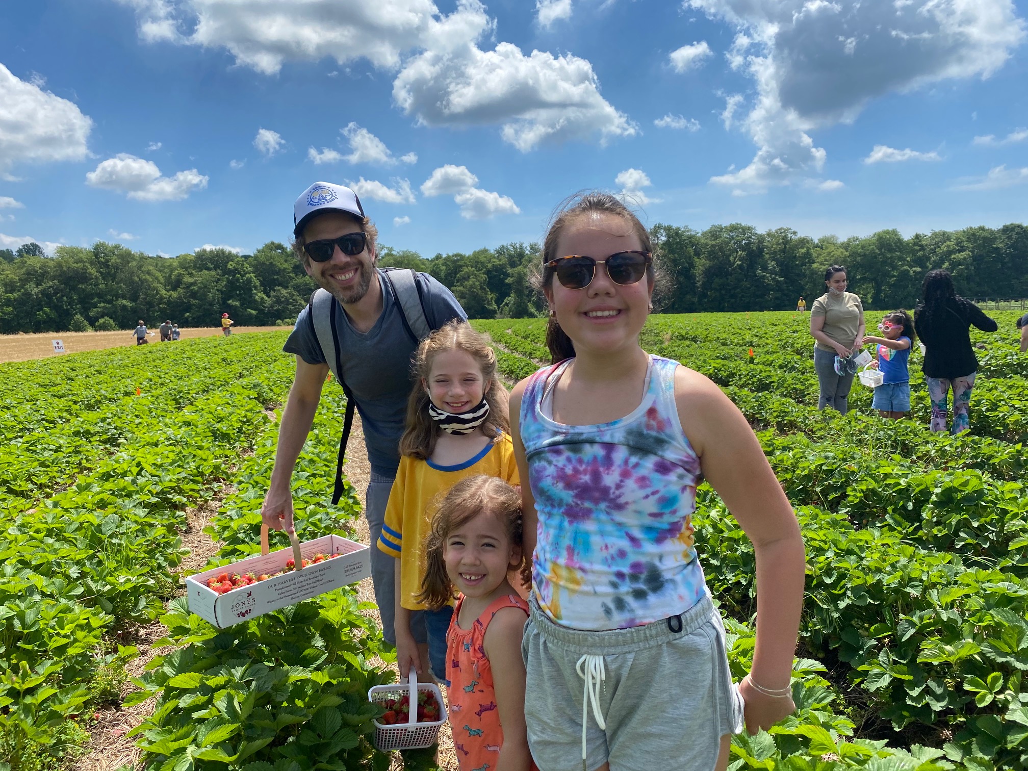 Strawberry Picking at Jones Farm: What You Need to Know