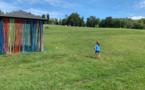 Art Meets Nature at the Collaborative Concepts Exhibit