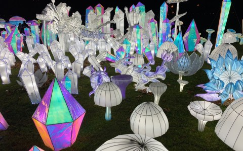 LuminoCity Festival 2020