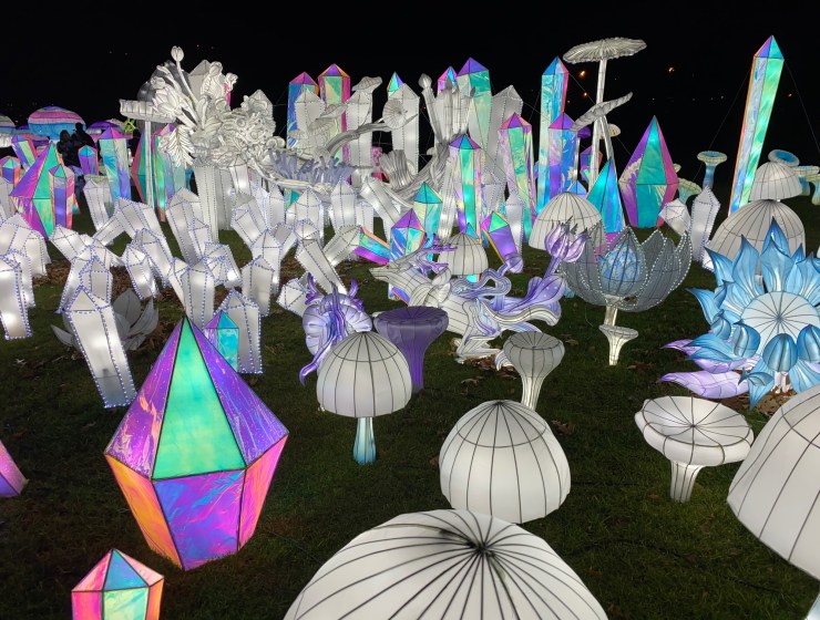 LuminoCity Festival 2020