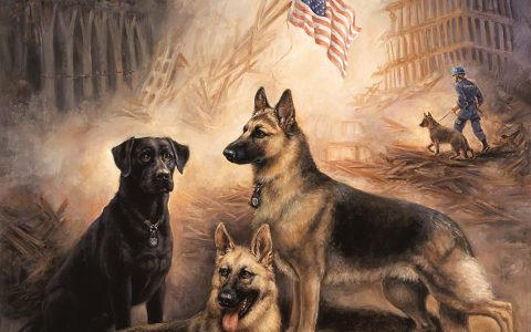 Art Contest: Salute to Search & Rescue Dogs