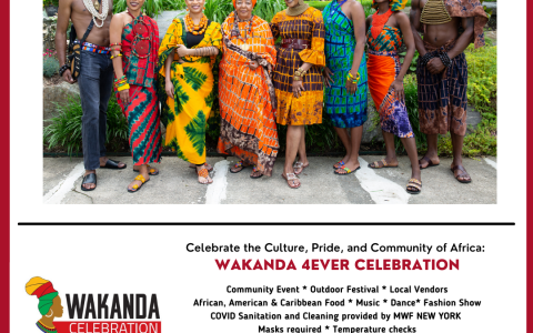 Wakanda Celebration in Mount Vernon