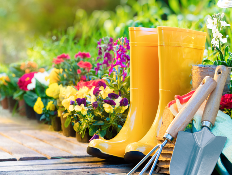 Understanding Soil and Home Gardening with True Organic