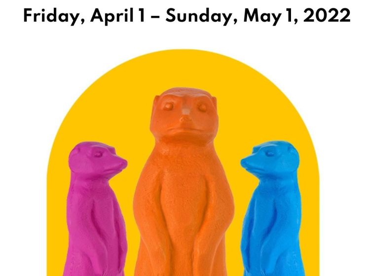 "The Meerkat Meetup"