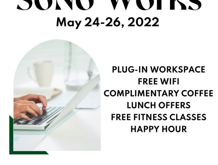 SoNo Works “Virtual Office Days” by The SoNo Collection