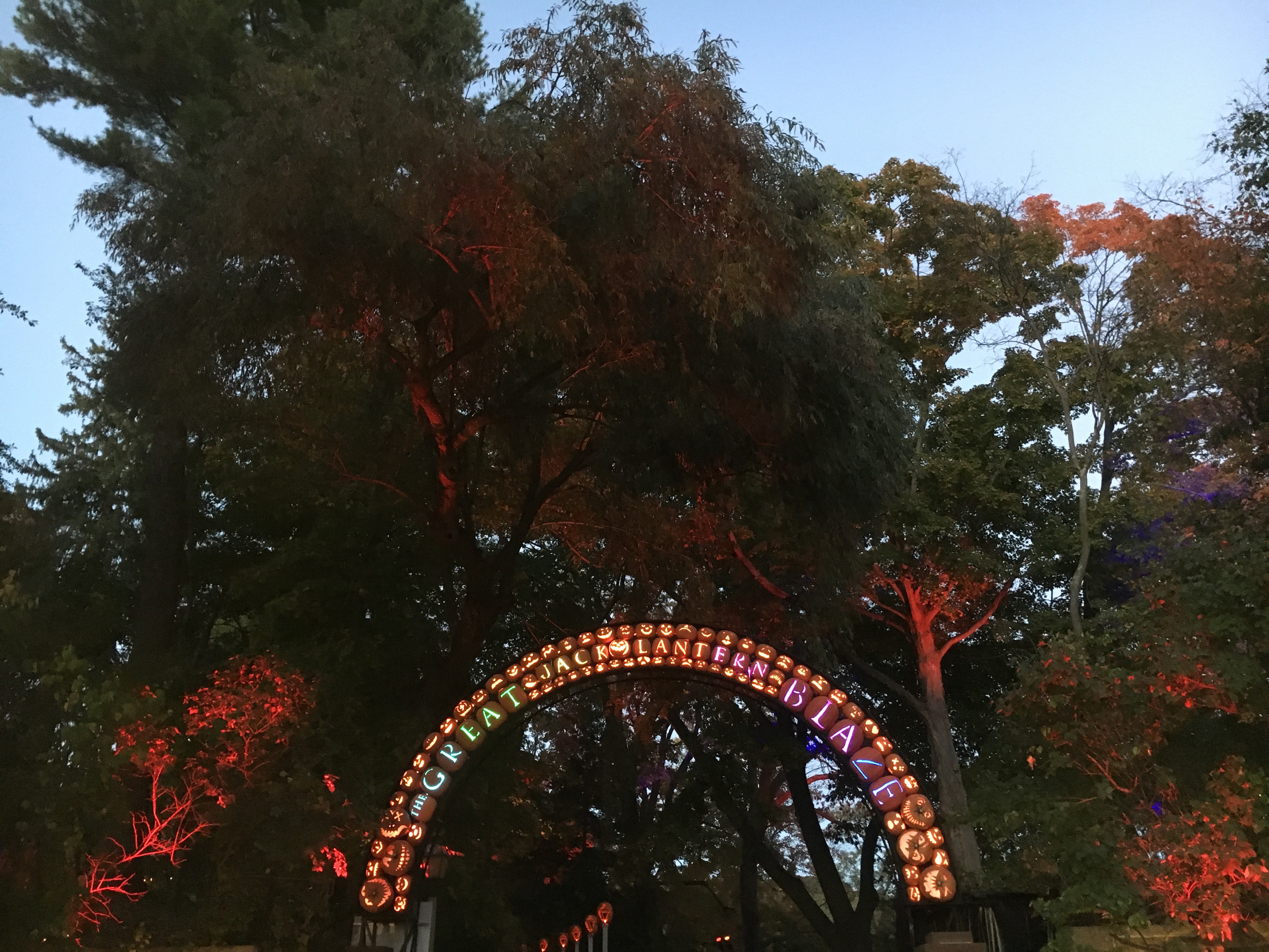 The Great Jack O'Lantern Blaze