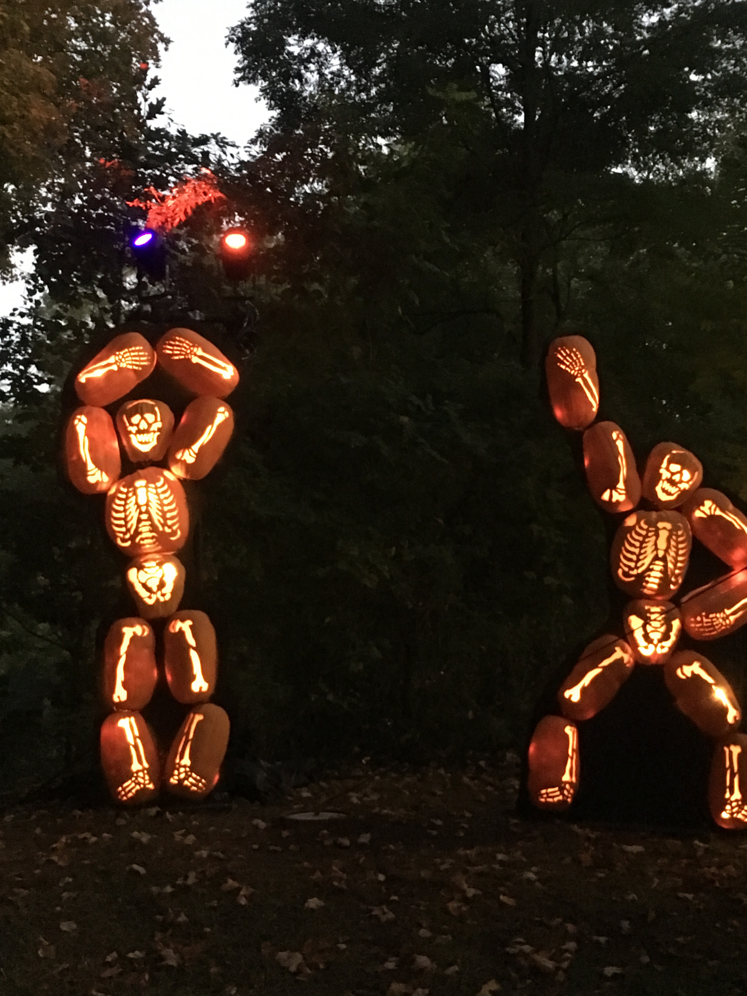 The Great Jack O'Lantern Blaze