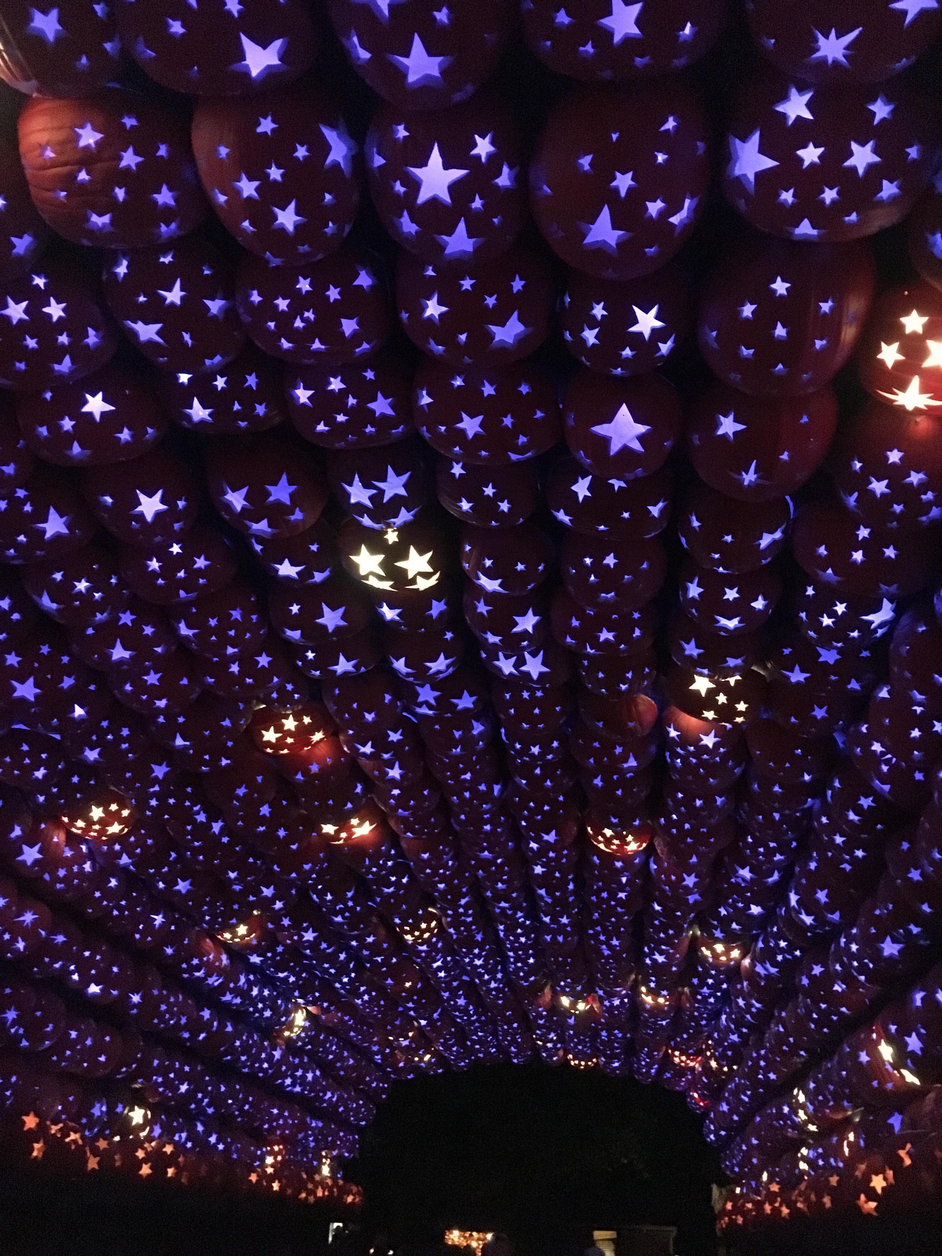 Great Jack O'Lantern Blaze 