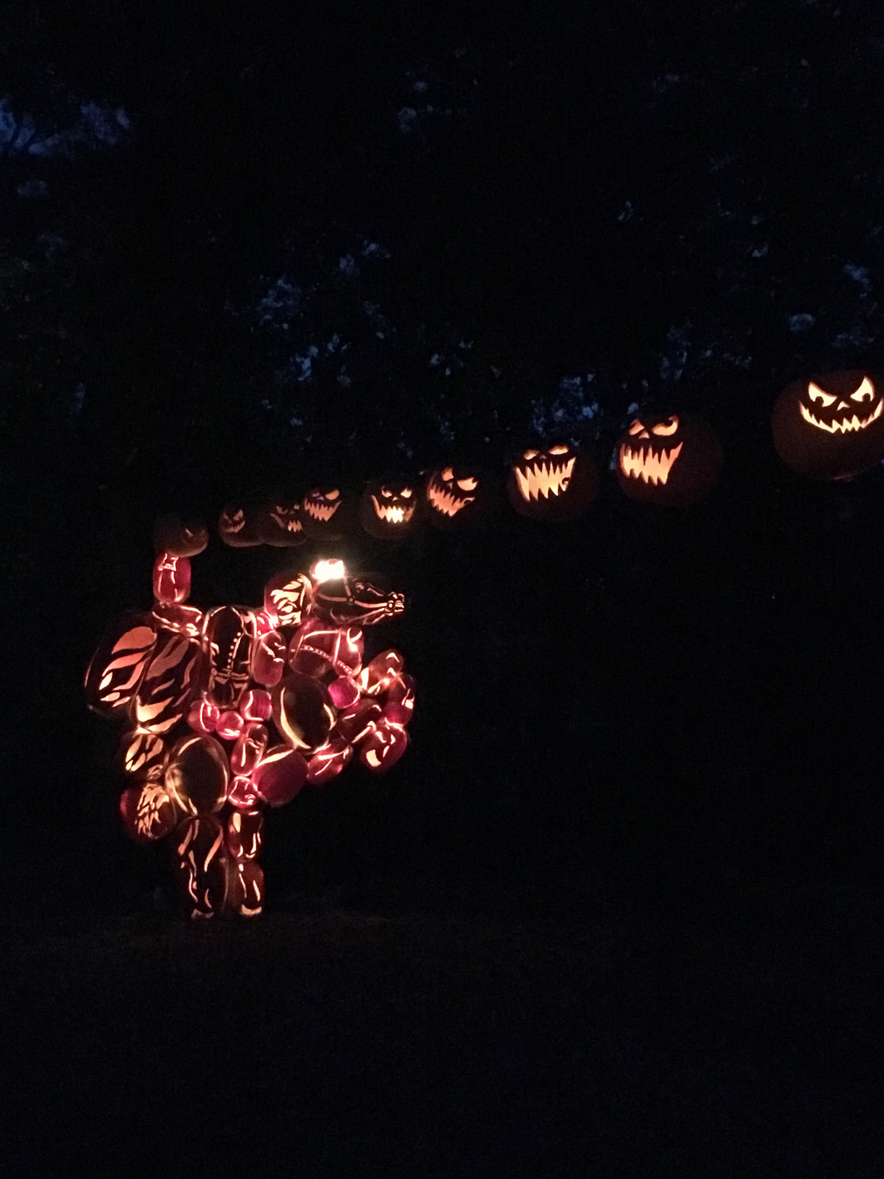 The Great Jack O'Lantern Blaze