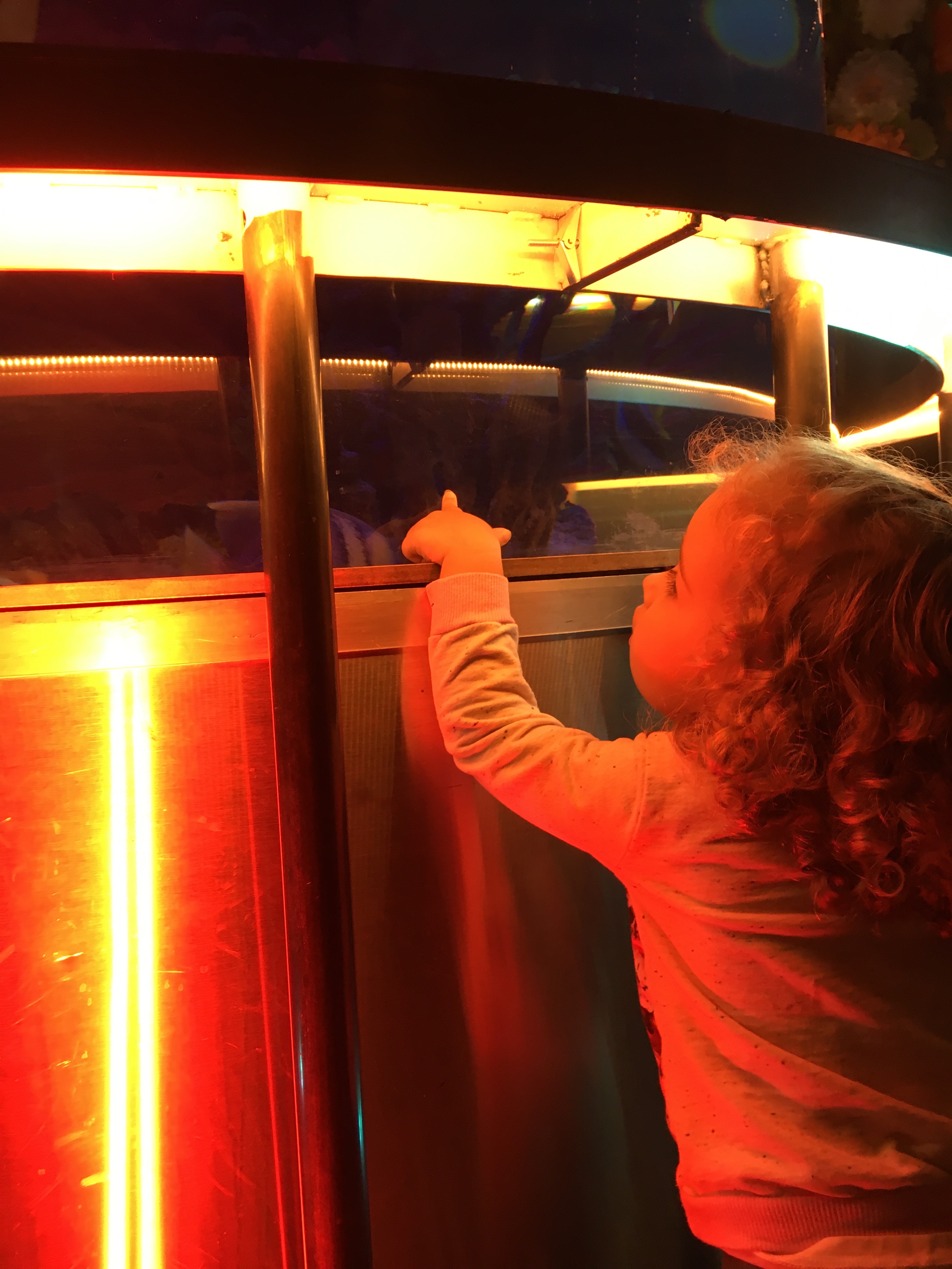 PBS Kids Subscription fishbowl