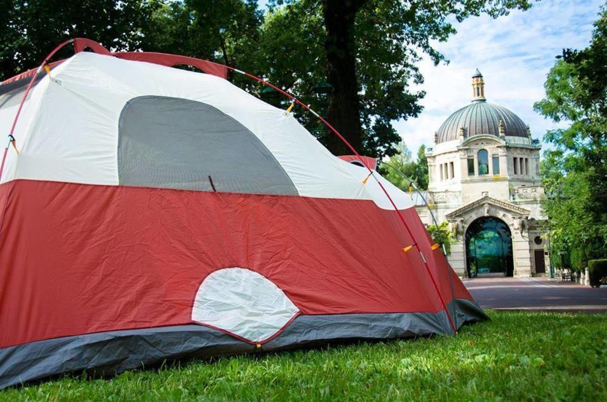 Bronx Zoo After Dark: Cool Adult-Only Overnight Program