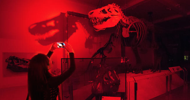 May Programs at the American Museum of Natural History