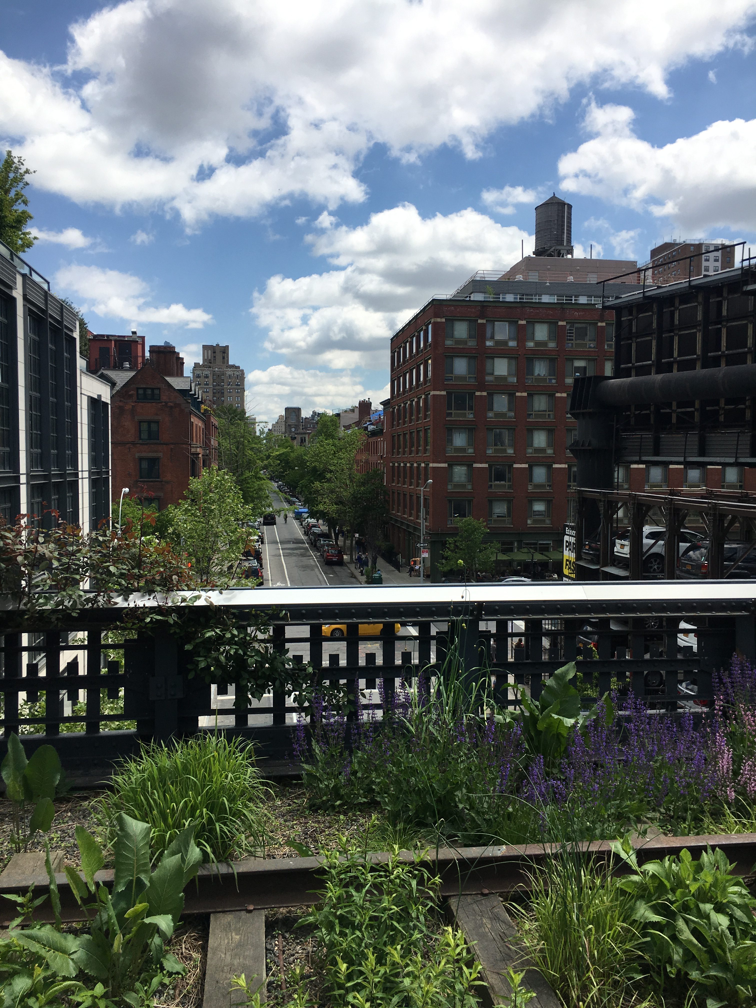 The high line nyc views