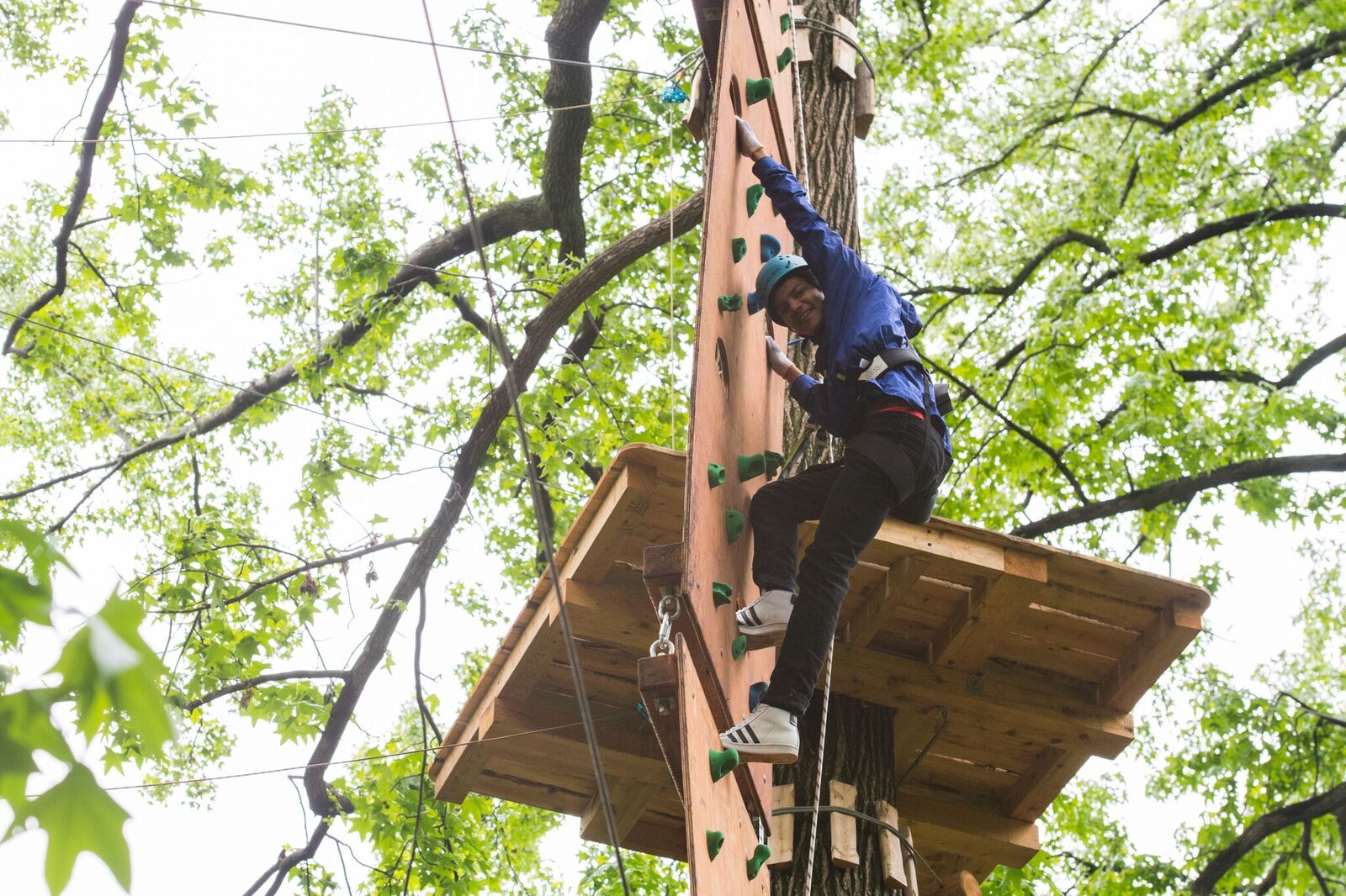 climbing bronx zoo treetop adventures