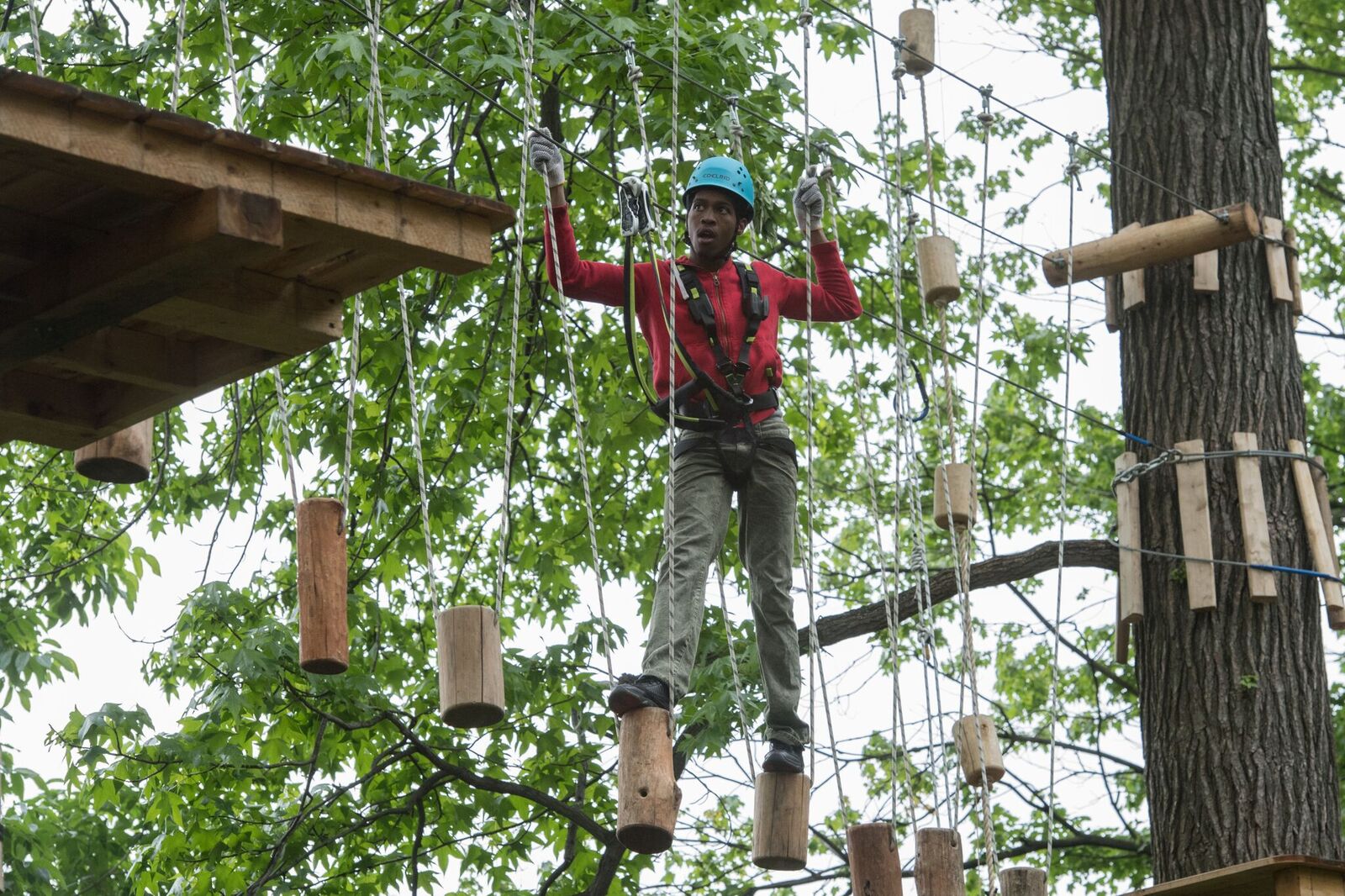 climbing at Bronx Zoo Treetop Adventure