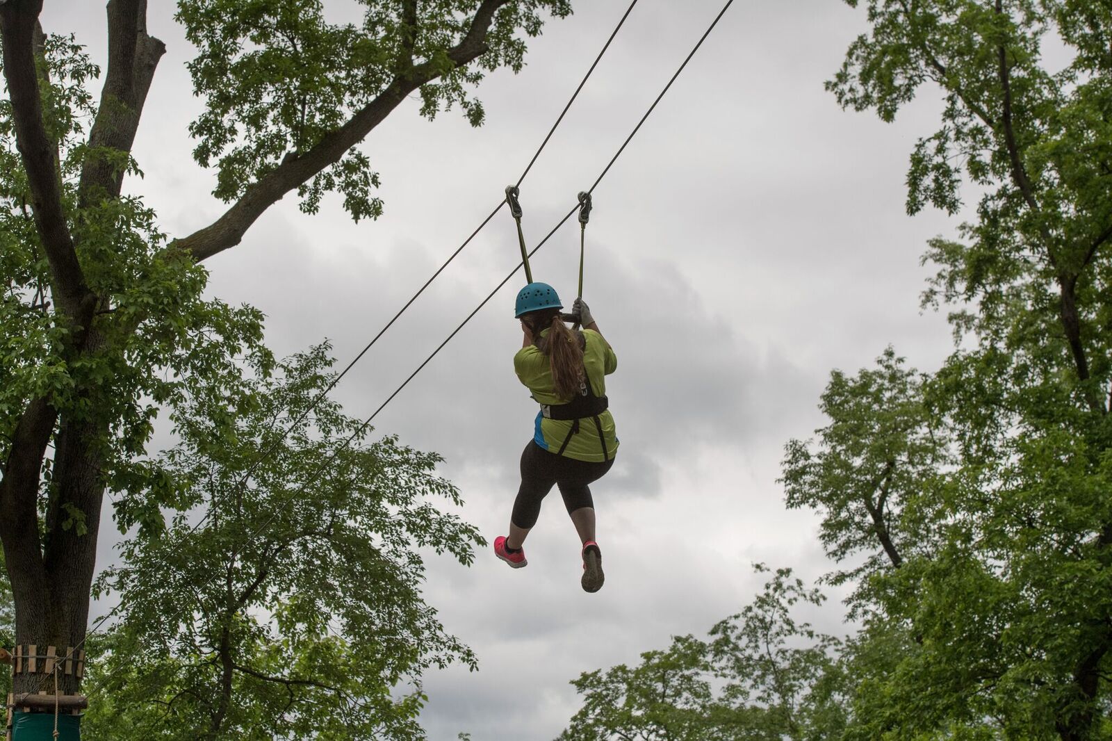 You Can Now Zipline and Climb at the Bronx Zoo