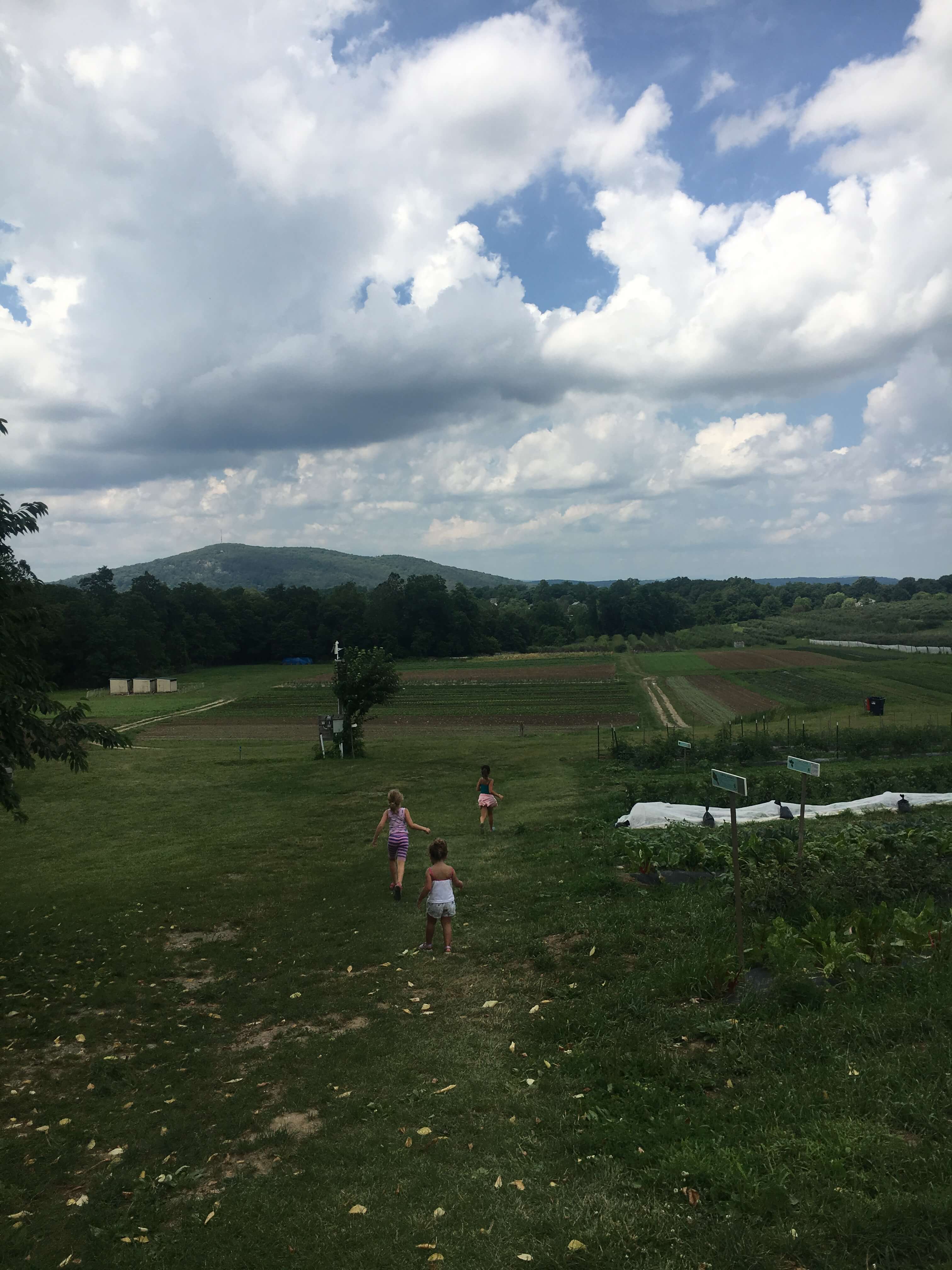 fishkill farms for kids