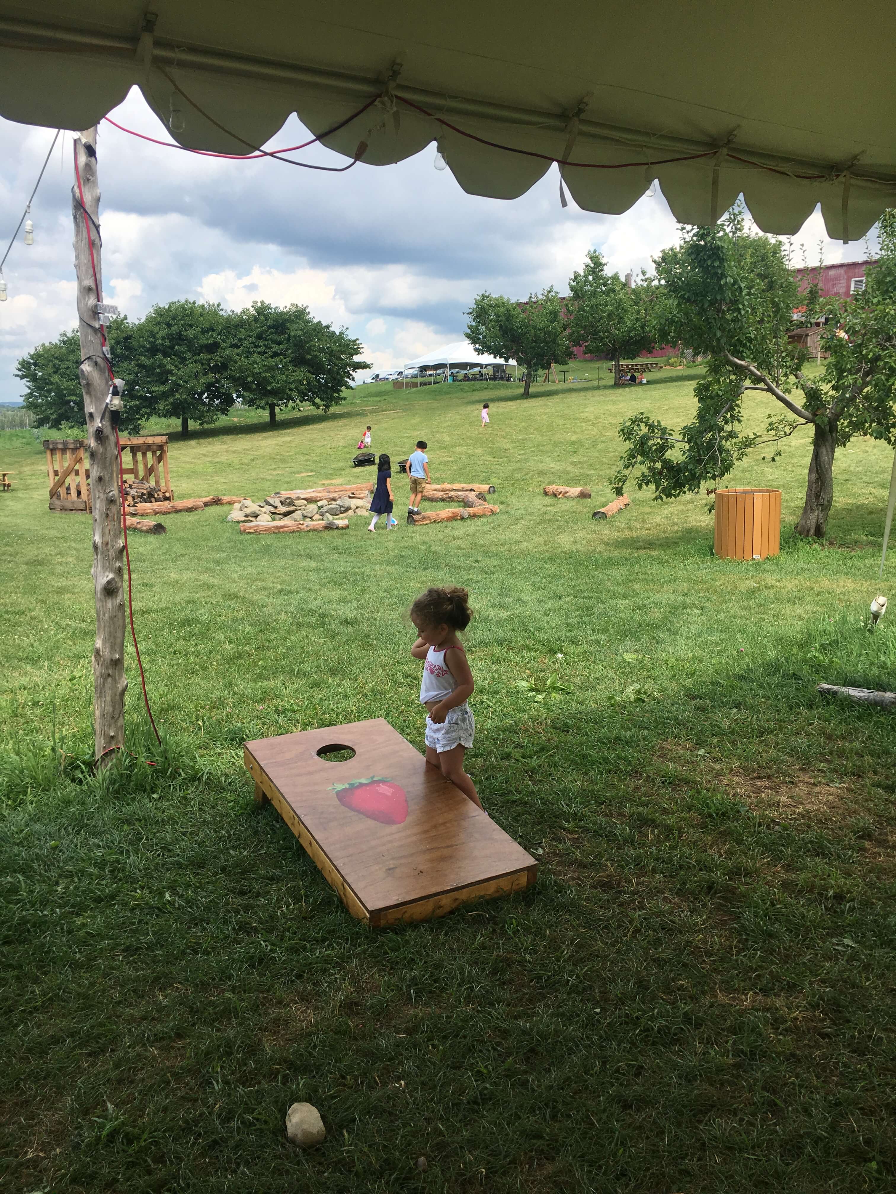 fishkill farms bag toss