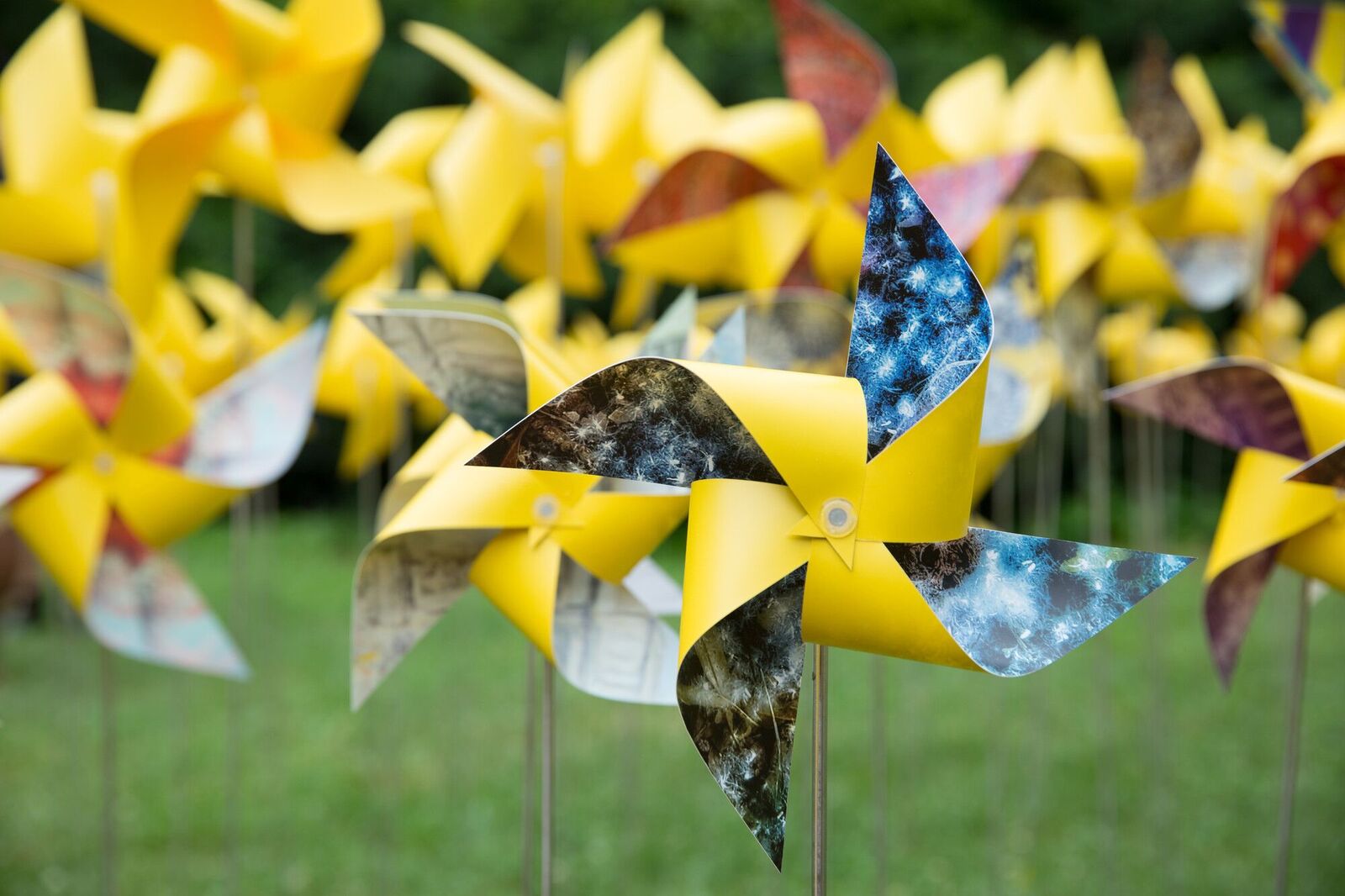 The Connective Project at Prospect Park