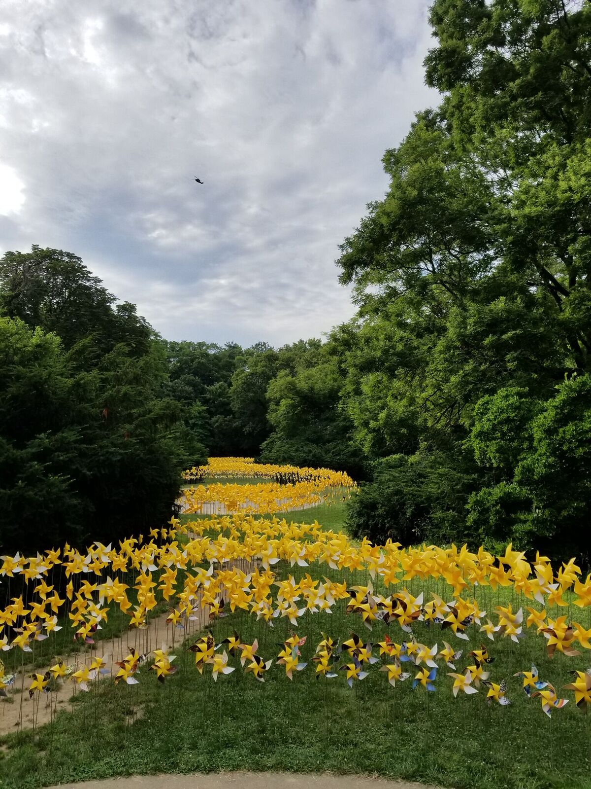 The Connective Project at the Prospect Park
