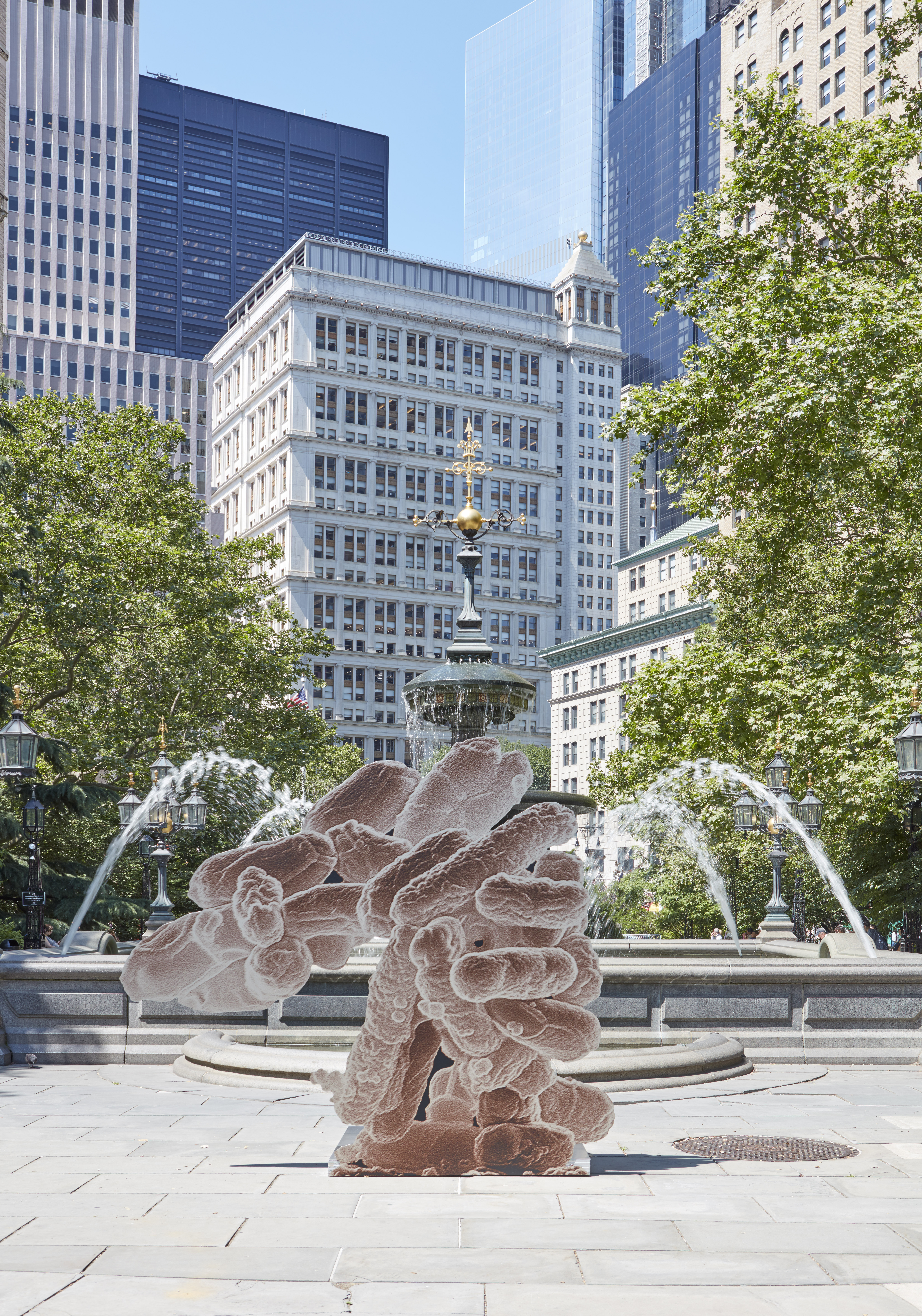 Ecoli from Earth Potential in NYC