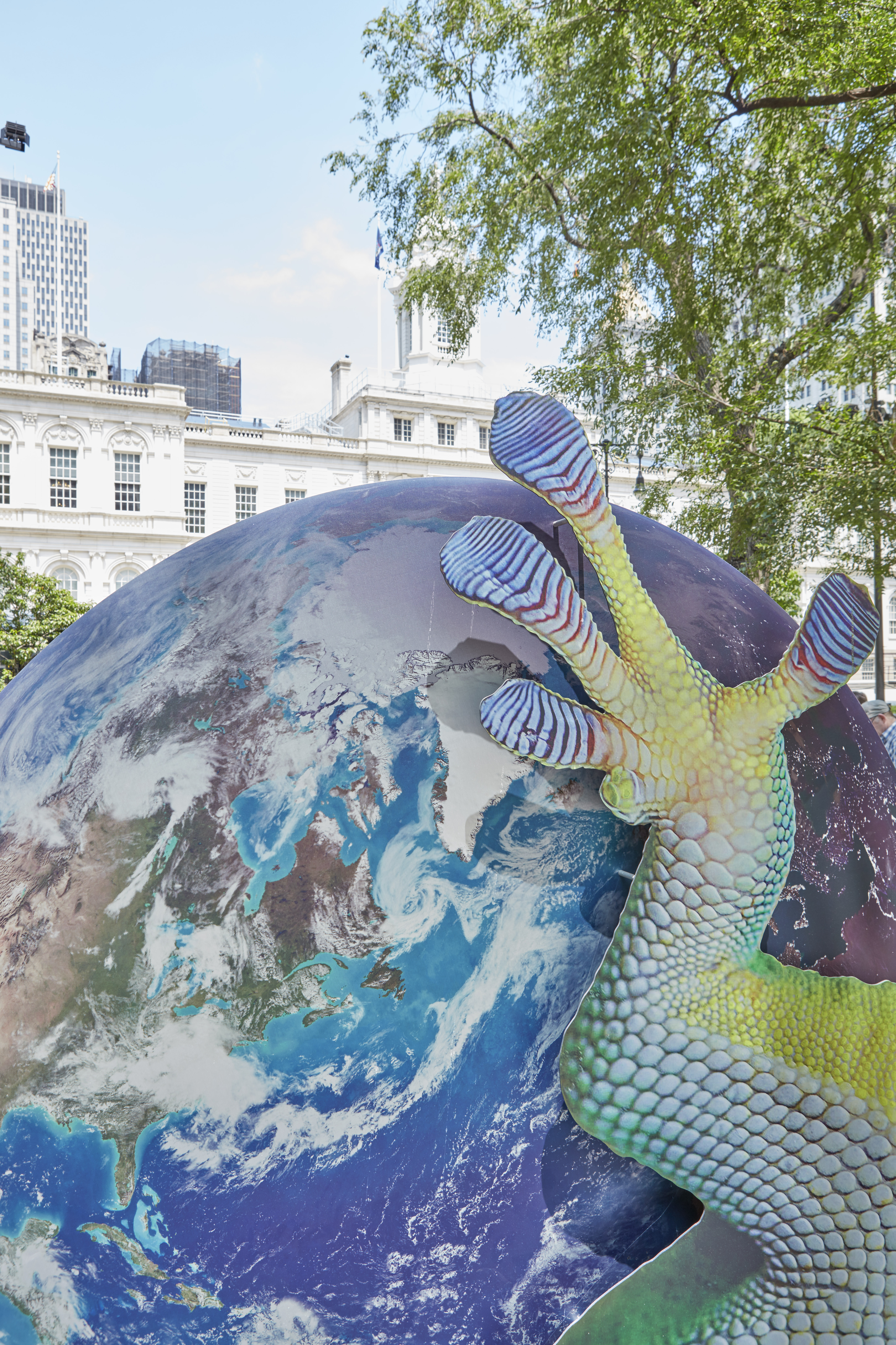 Lizard details from the Earth Potential exhibit