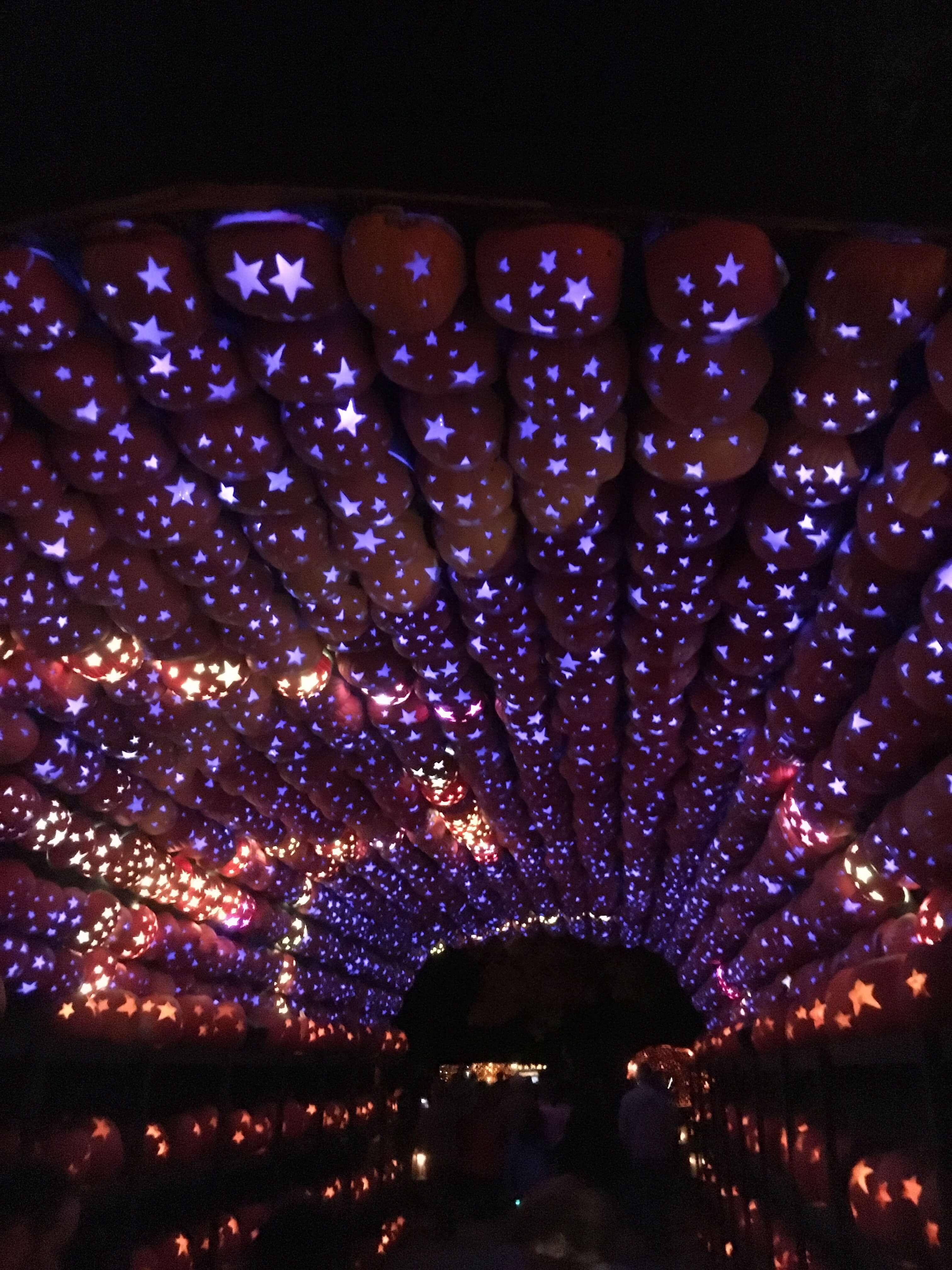 Getting Psyched for Halloween at the Great Jack O'Lantern Blaze