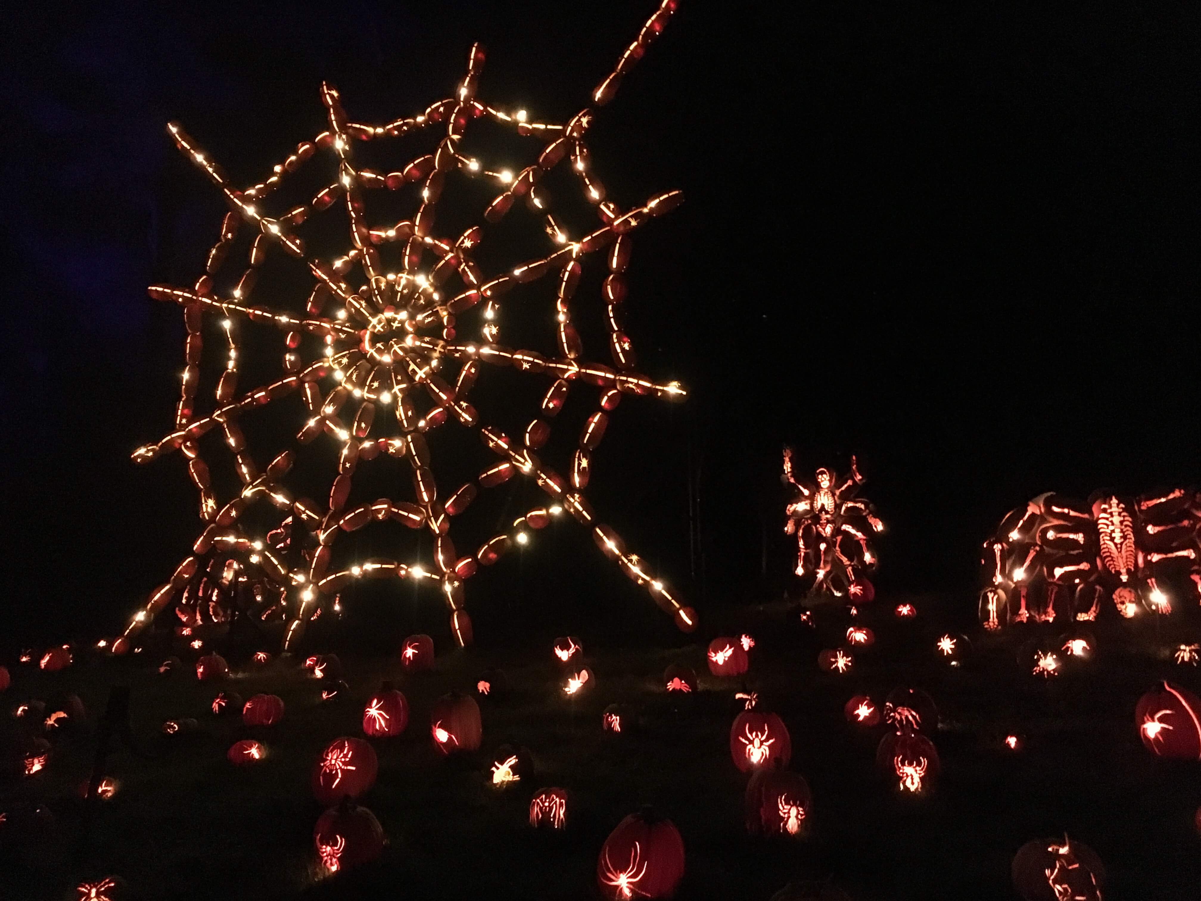spiderweb great jack o lantern blaze