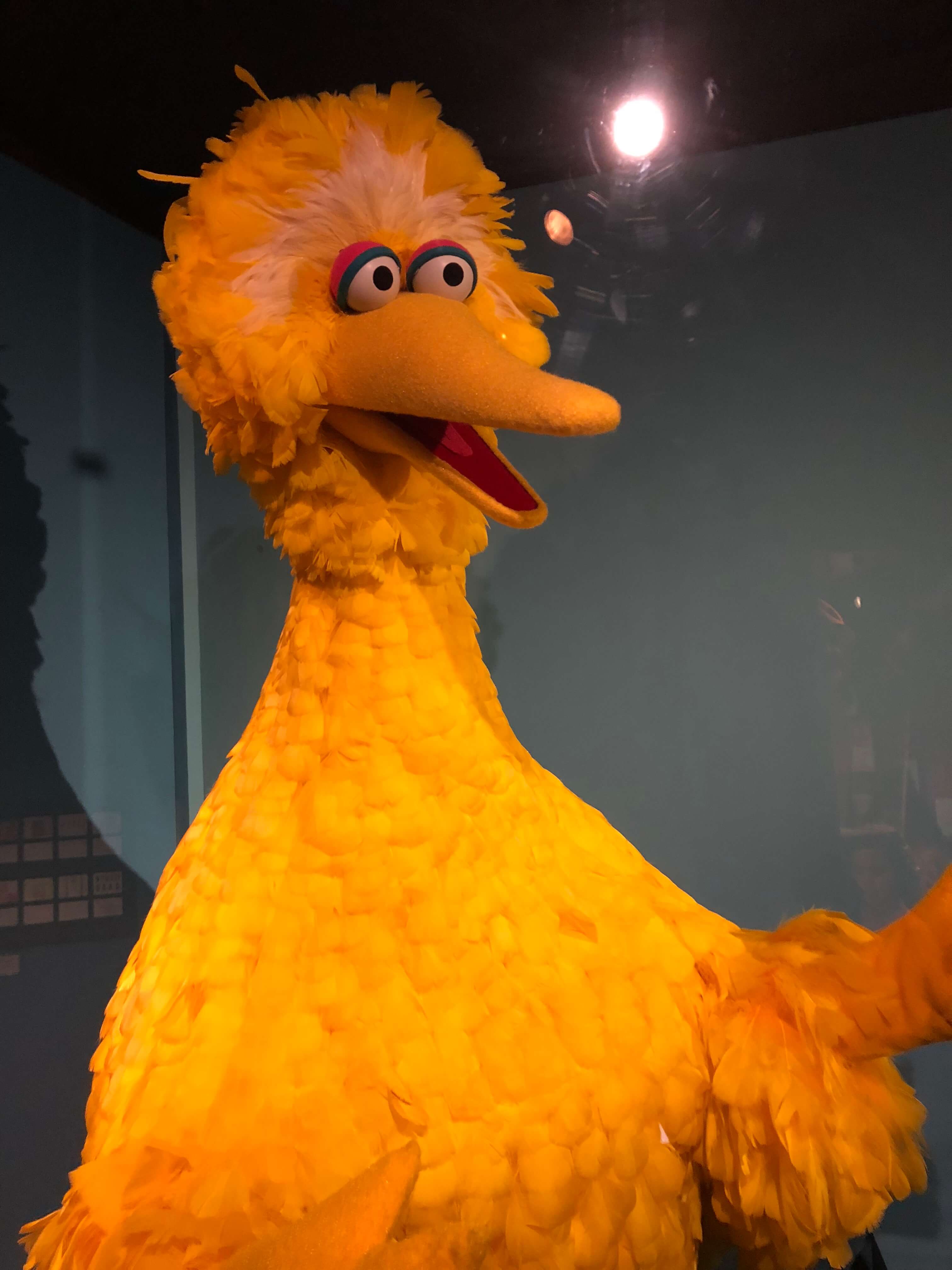 museum of the moving image screen  The Jim Henson Exhibition big bird