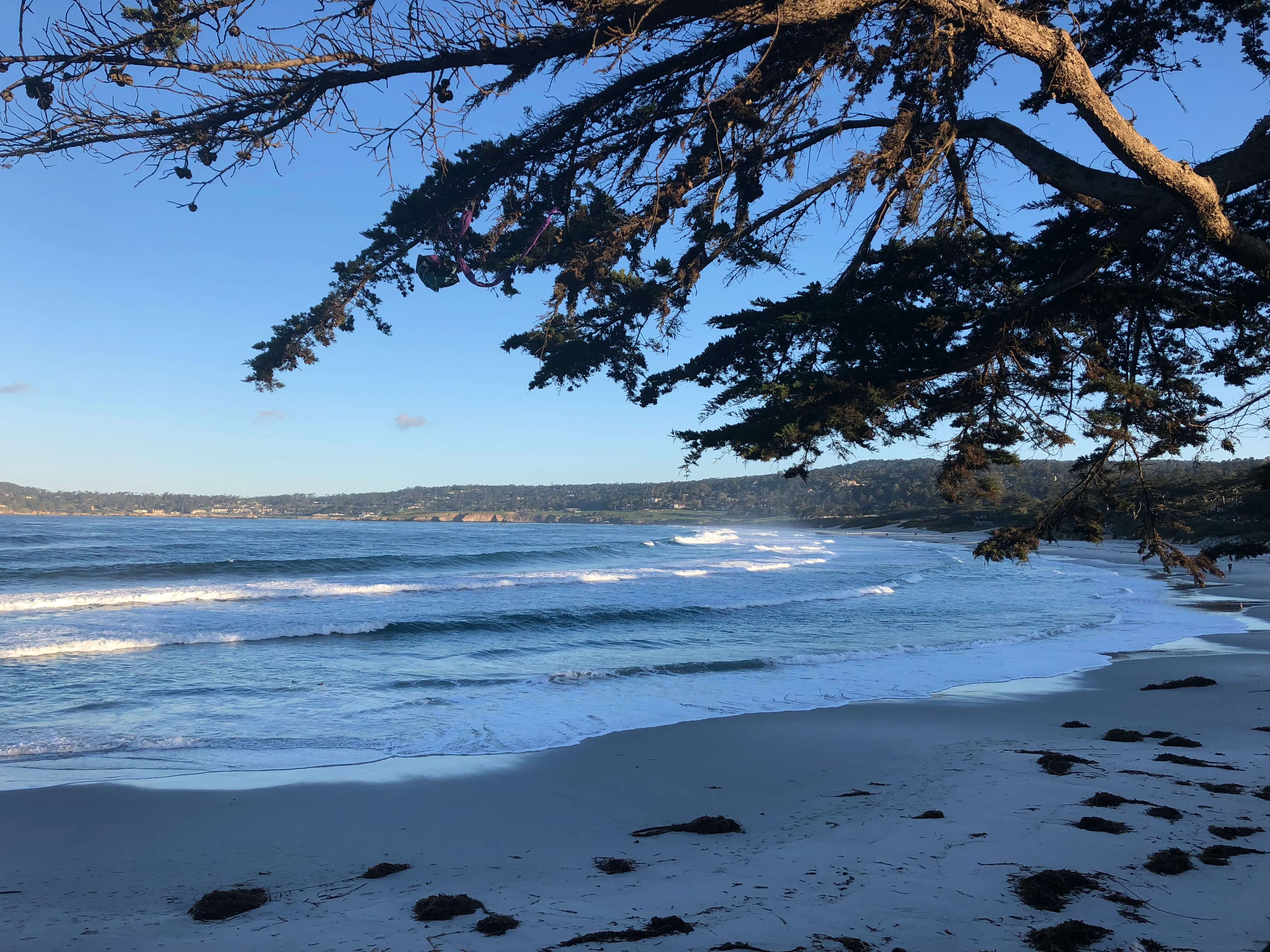 beach in carmel by the sea that's close to the Hofsas House Hotel