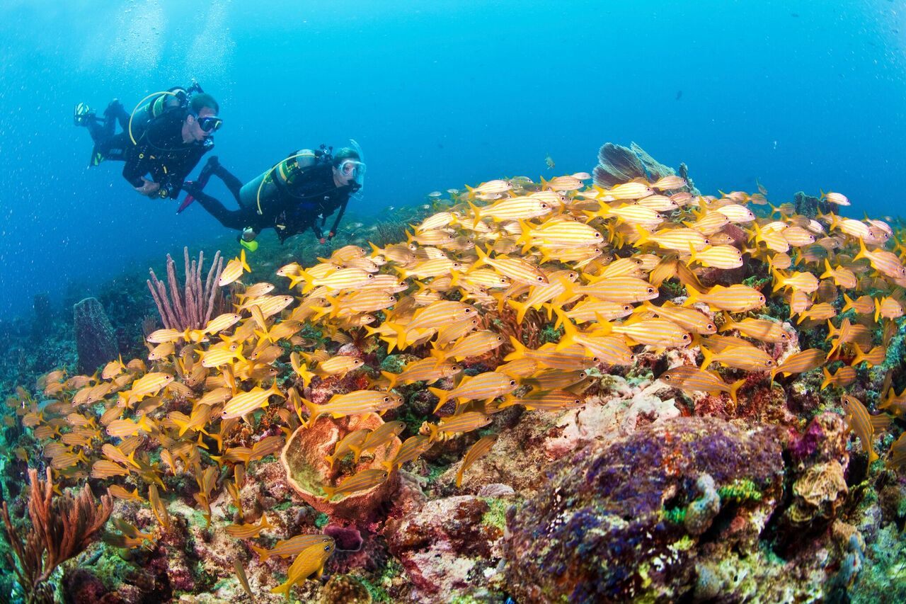 Adventure Awaits with PADI Travel 