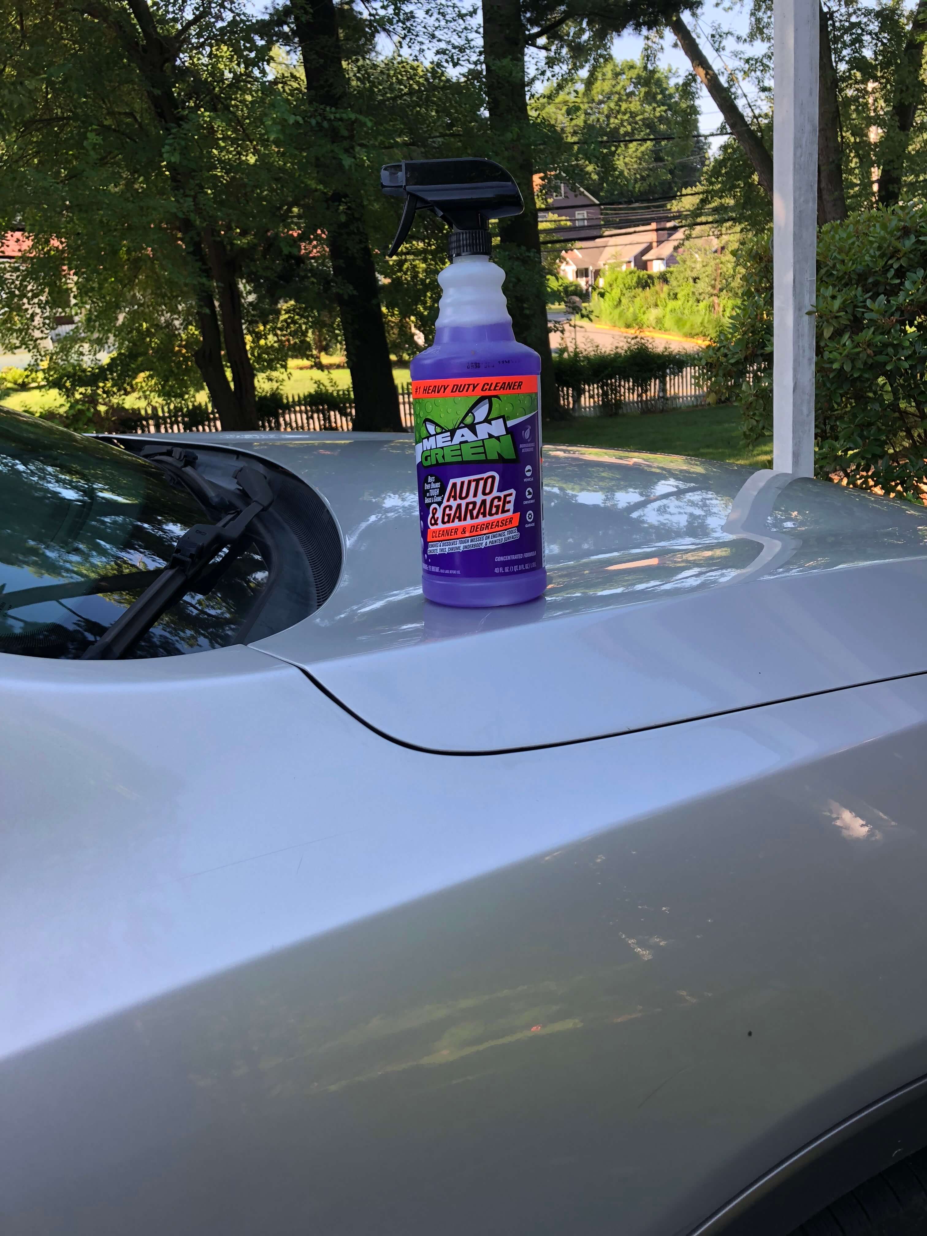 Outdoor Cleaning Solutions mean green auto