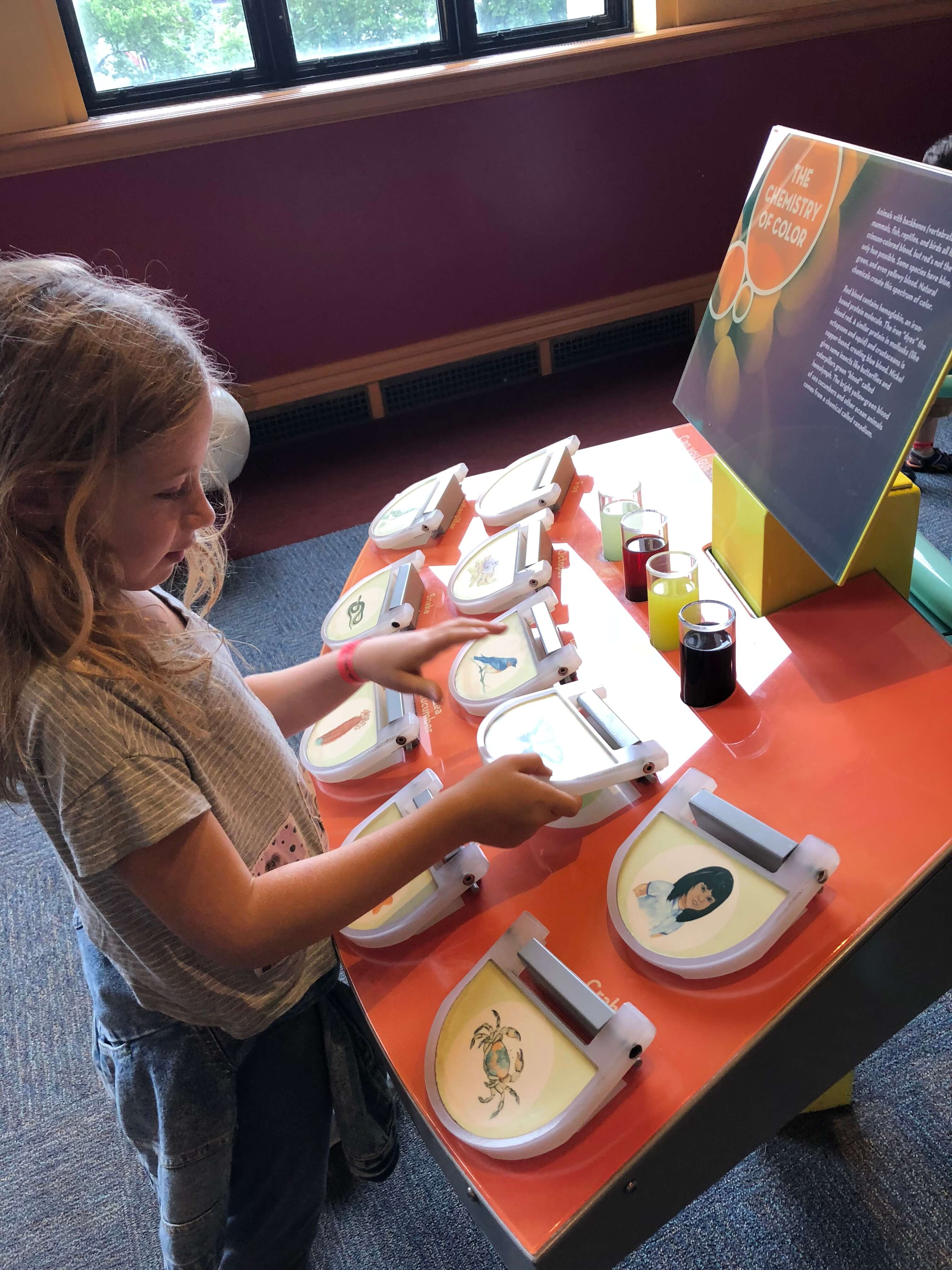 giant heart philly with kids The Franklin Institute