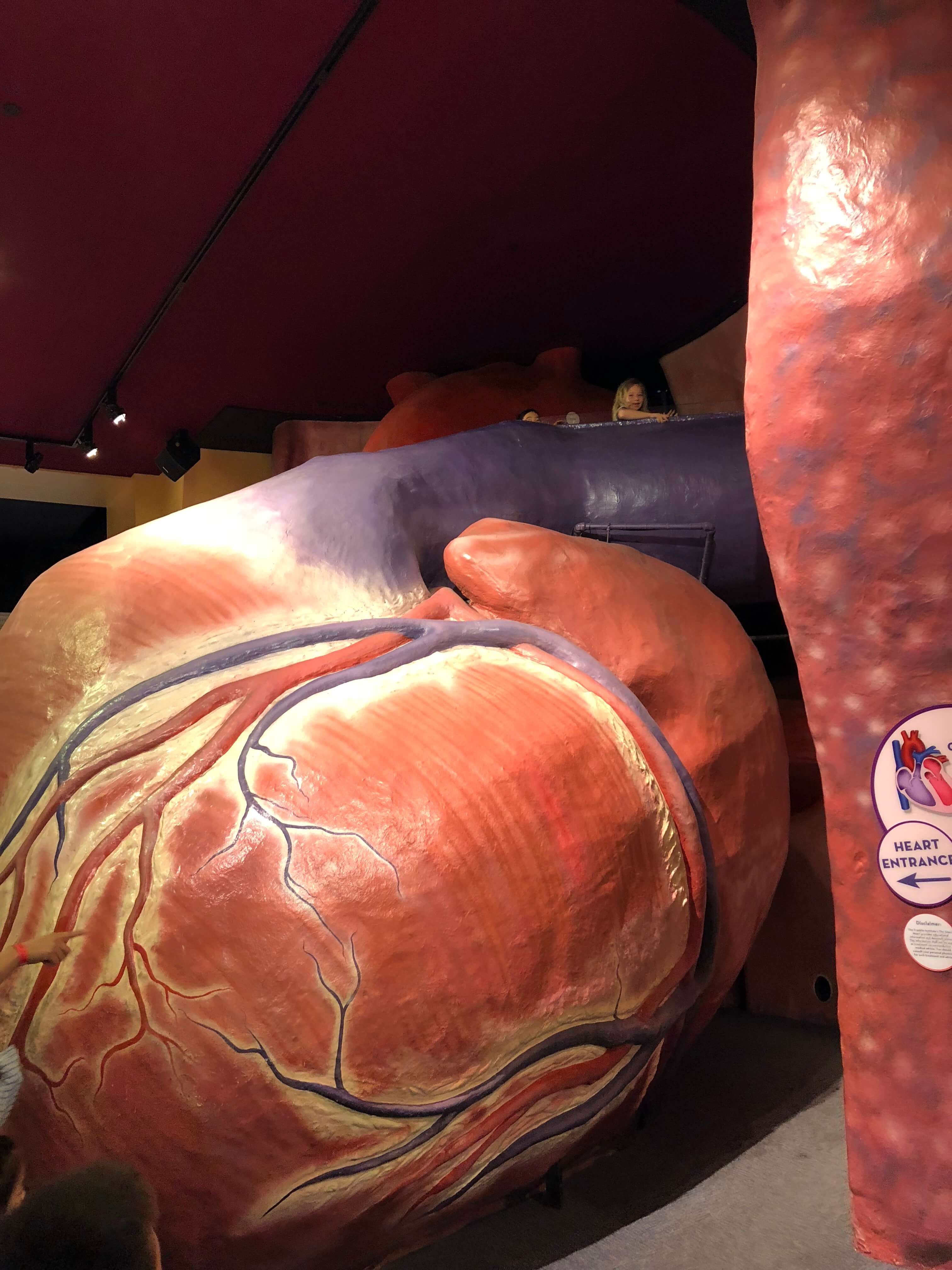 giant heart philly with kids The Franklin Institute