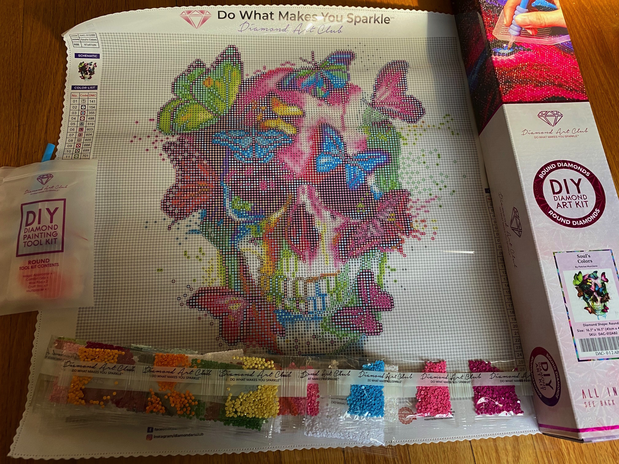 Diamond Art Club Skull kit