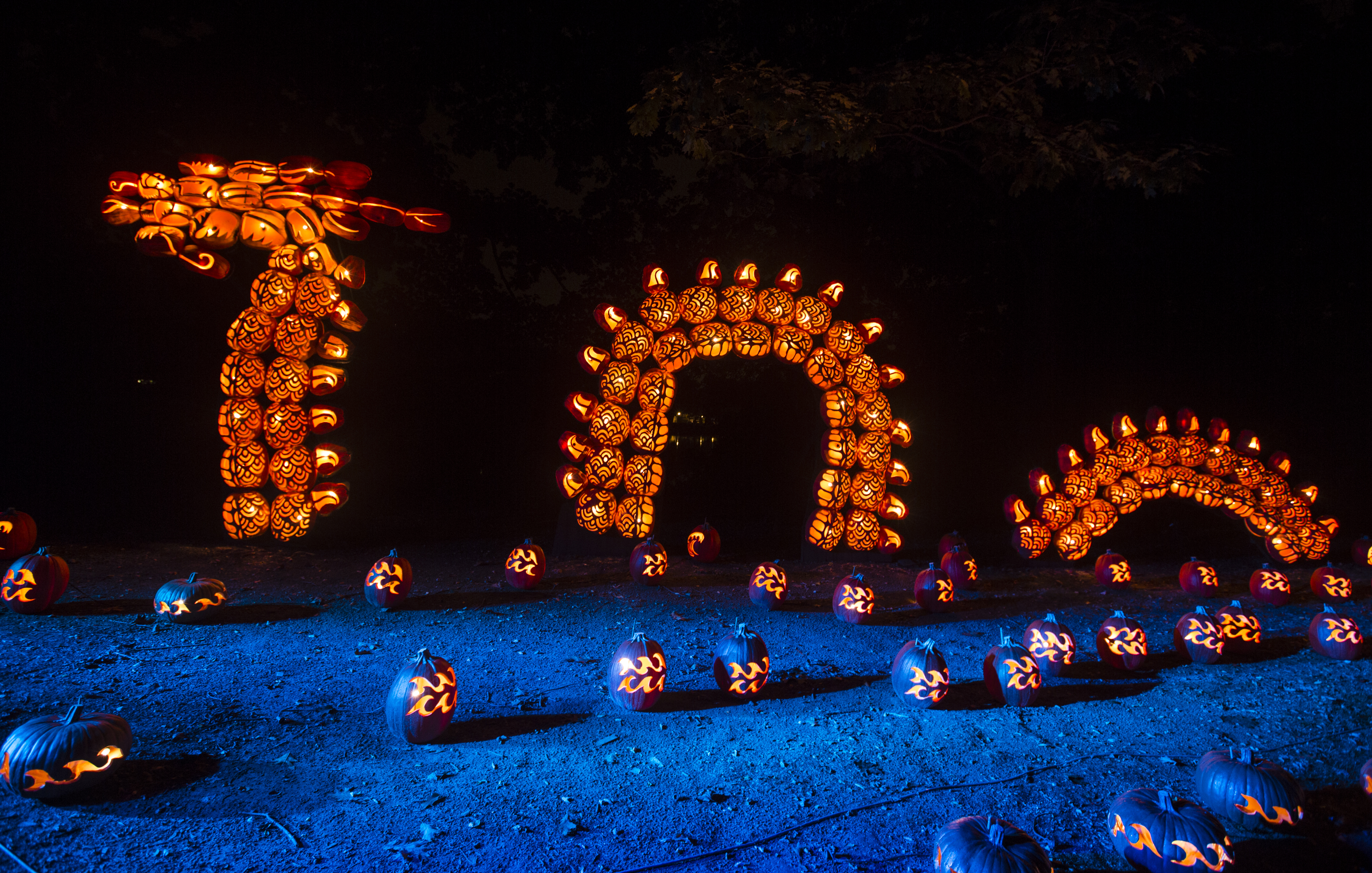 jack o lantern blaze